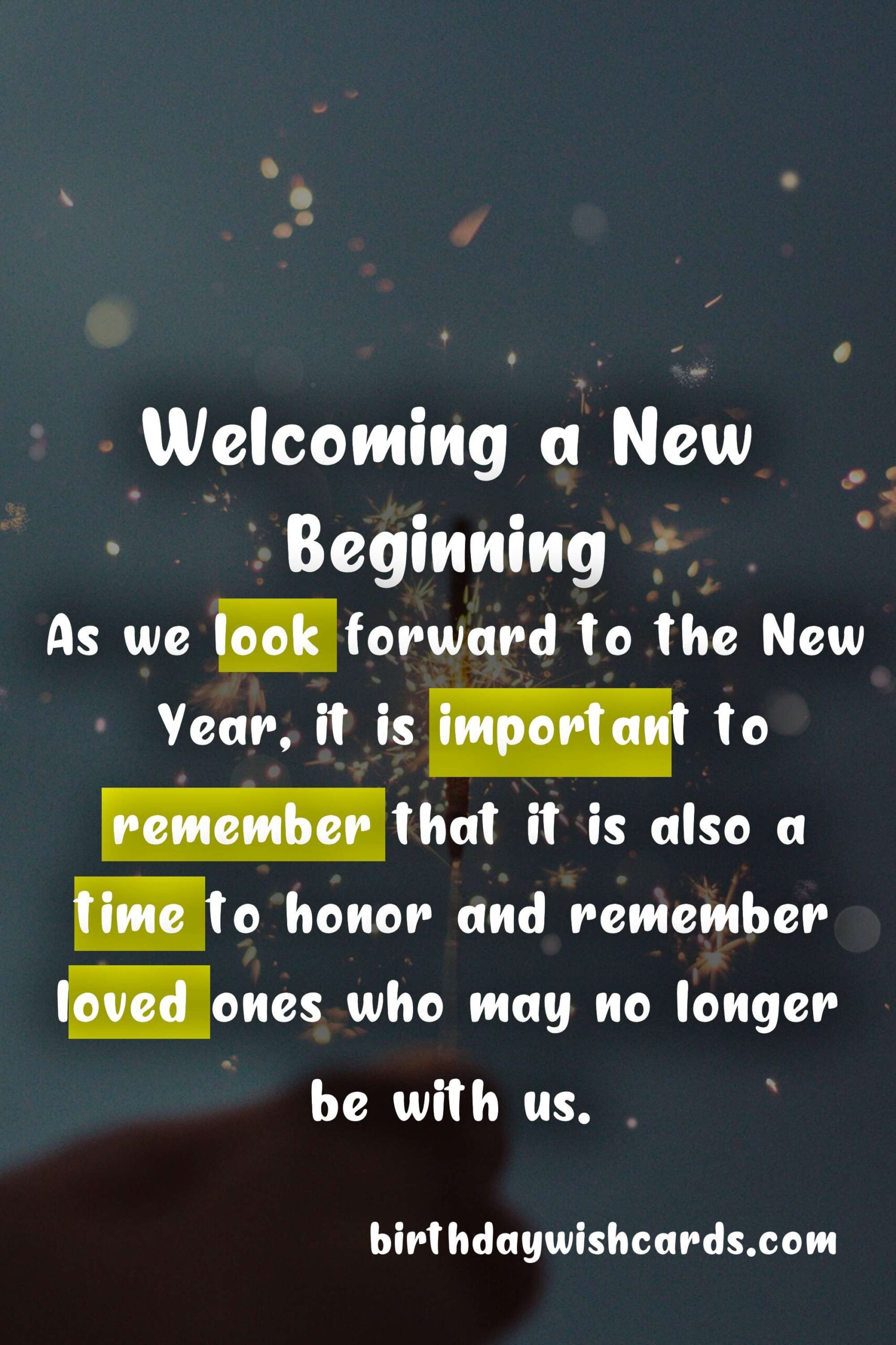 Birthday Wish Cards | Celebrate the New Year - 1st January