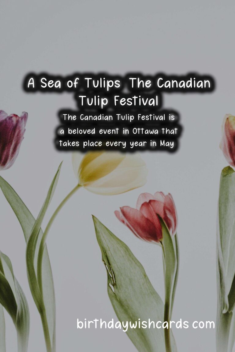 All About the Canadian Tulip Festival: A Celebration of Canada’s Rich History and Beautiful Flora in May