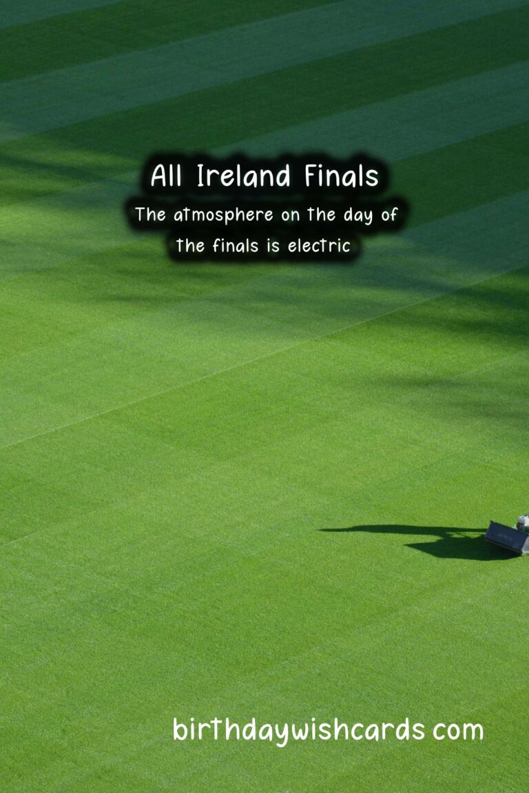 All-Ireland Finals: A Celebratory Month of Irish Sport