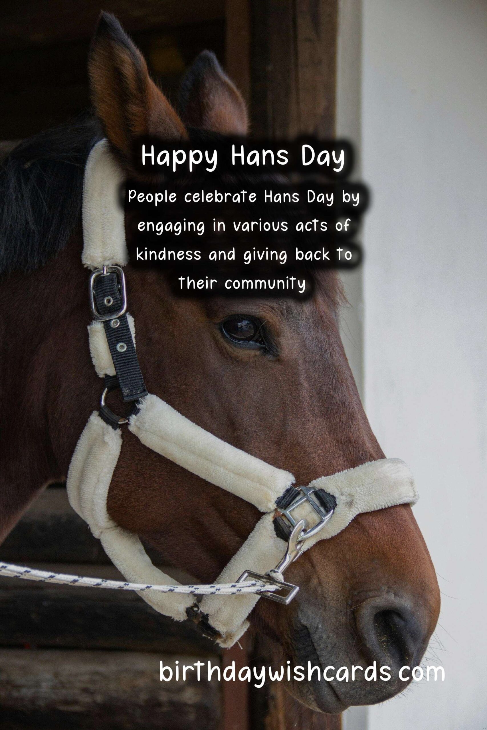 Celebrate Hans Day - June 24th with These Fun Activities!