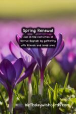 Birthday Wish Cards | Celebrate the Spring Season with the Joyous Daisy Festival