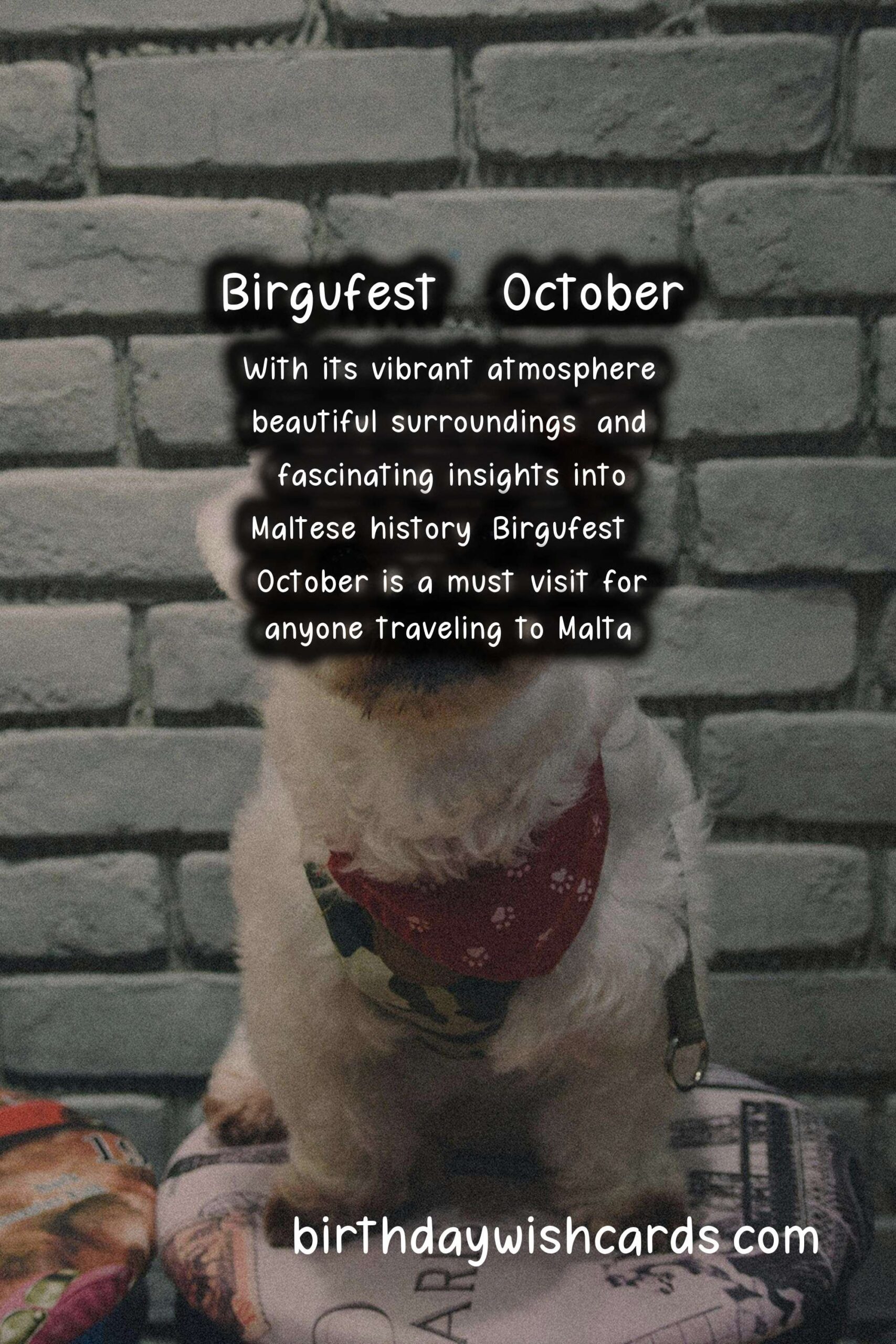 Discover a Gateway to the Historical World of Malta at Birgufest - October