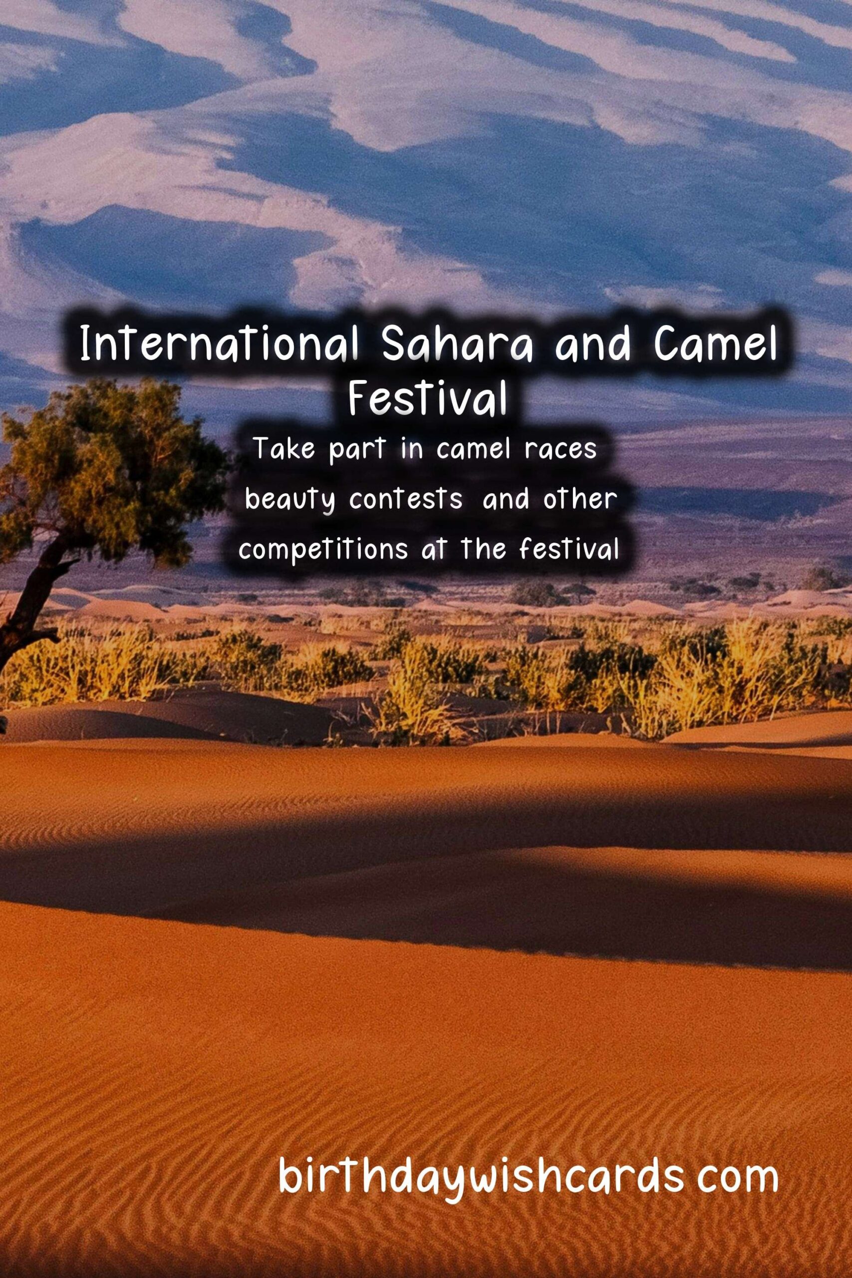 Birthday Wish Cards | Experience the Beauty and Culture at the International Sahara and Camel Festival