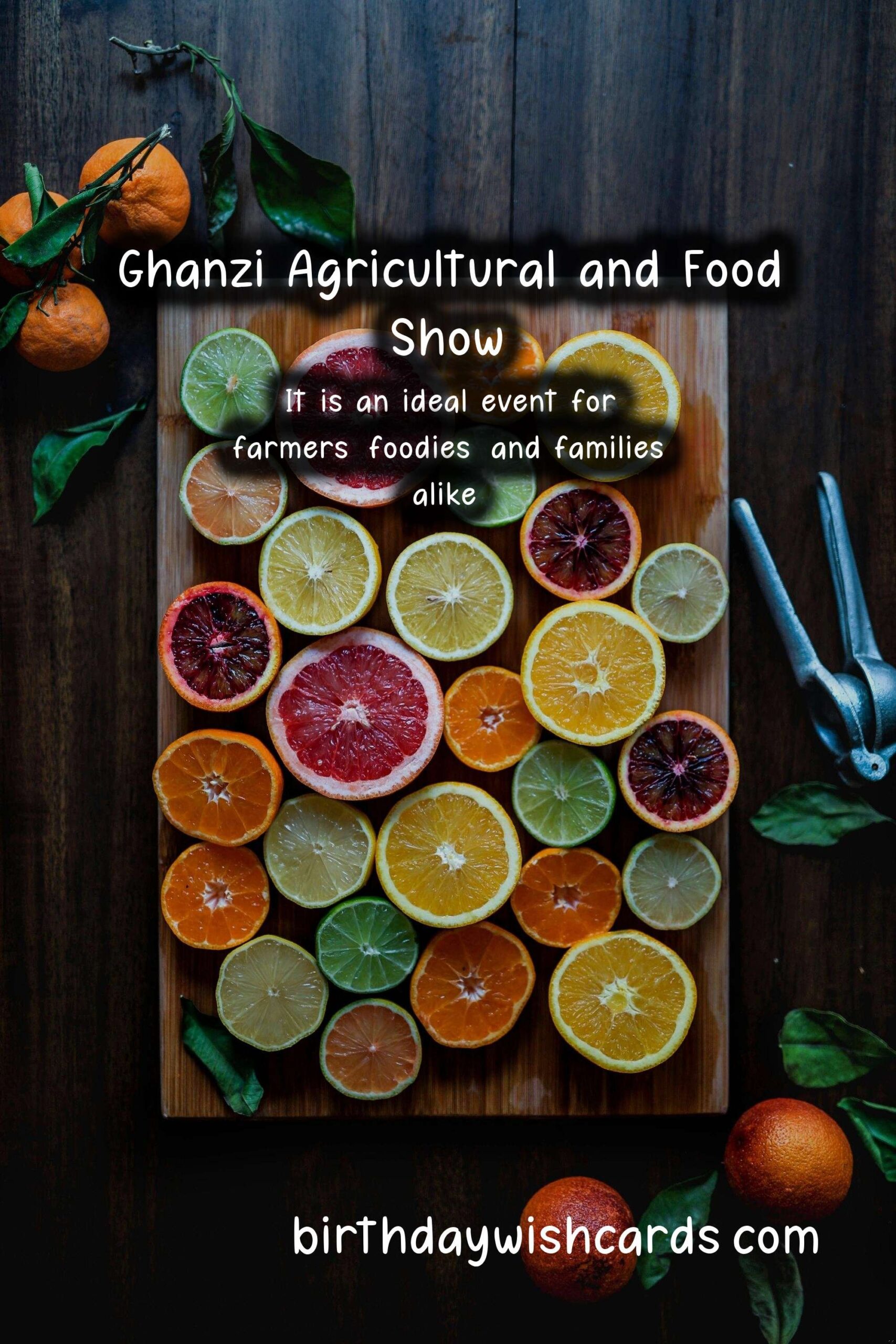 Experience the Best of Agriculture and Food at Ghanzi Agricultural and Food Show - August 23-26