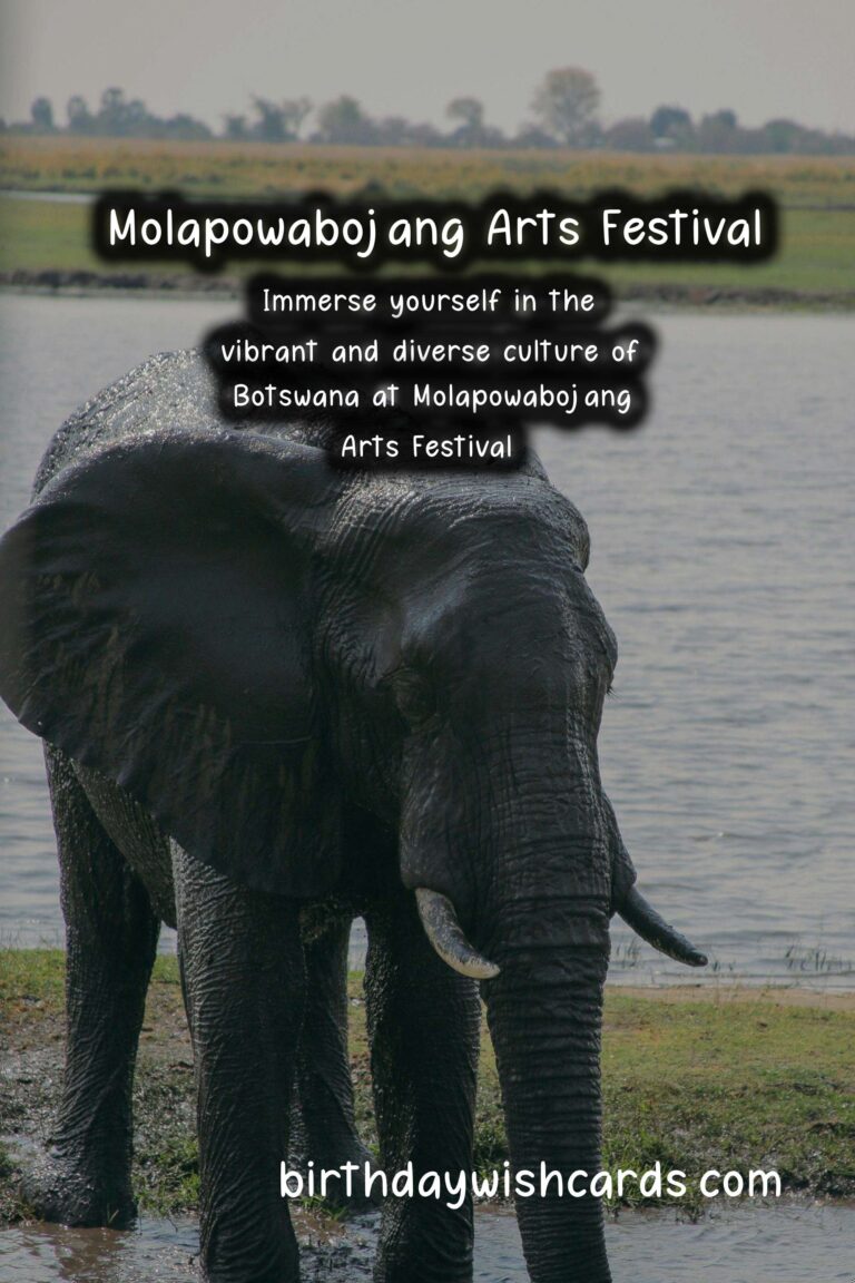 Experience the Vibrant Culture of Botswana at Molapowabojang Arts Festival – August 4-7