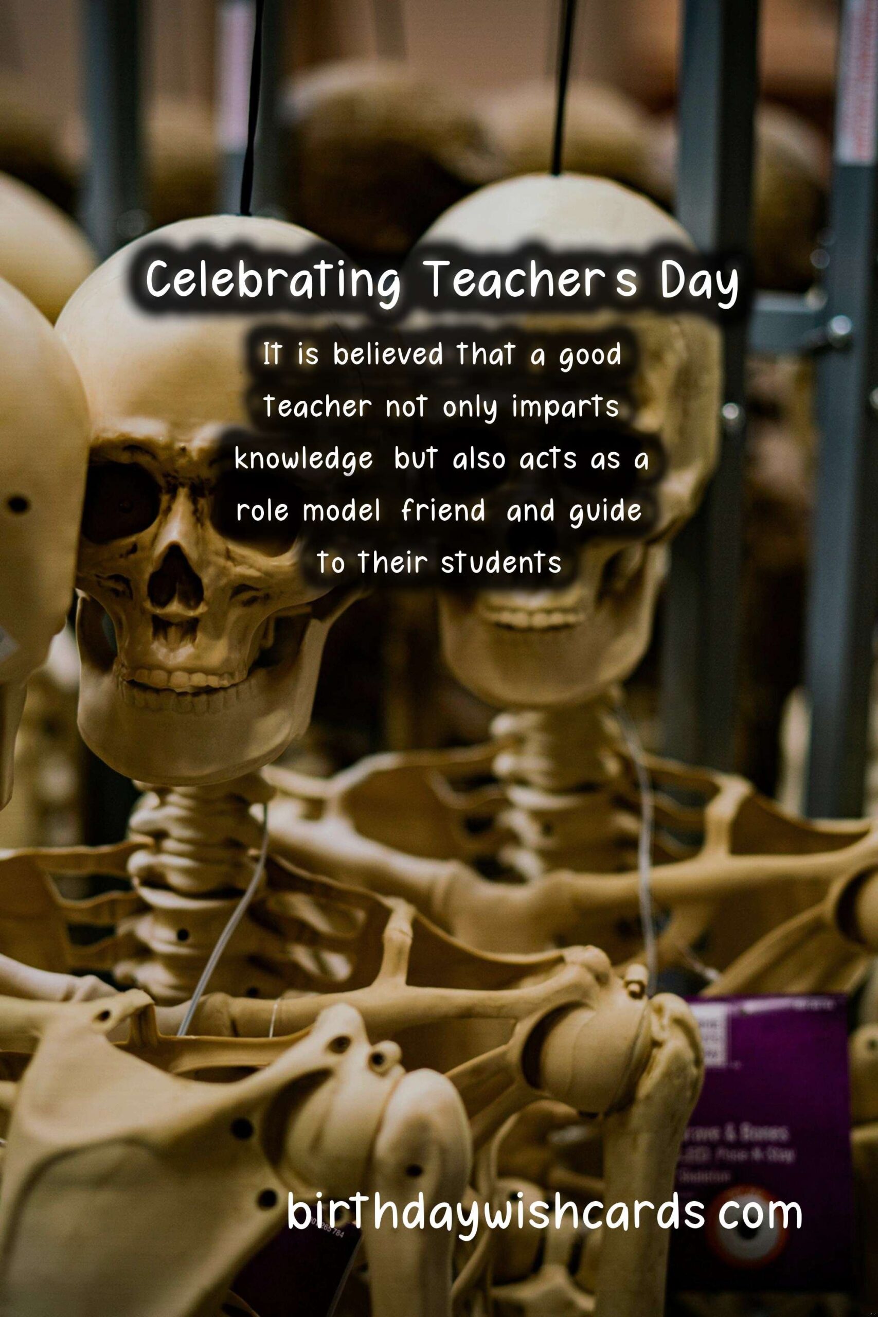 Honoring Our Mentors: Celebrating Teacher's Day on October 1