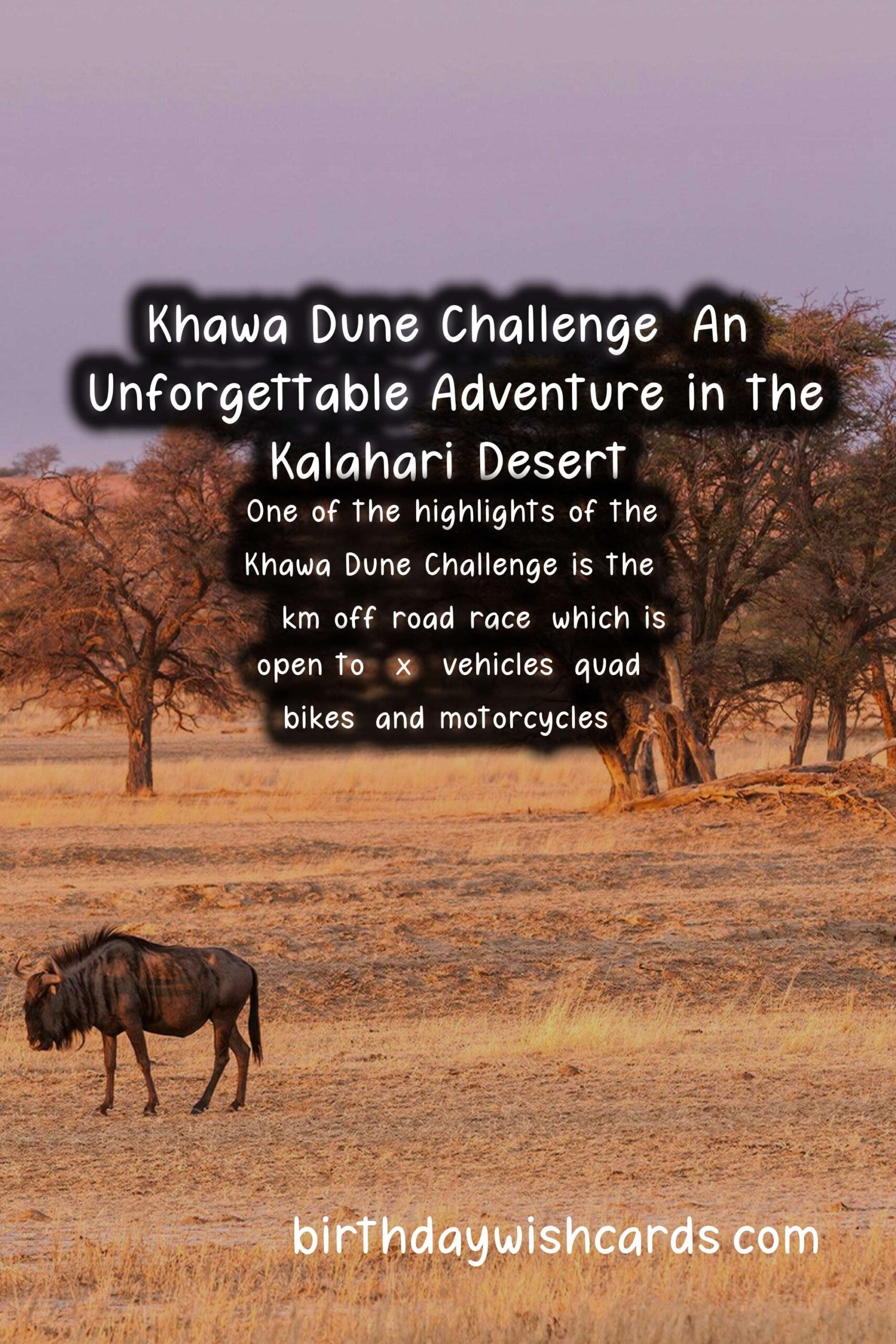 Khawa Dune Challenge: A Thrilling Adventure in the Kalahari Desert