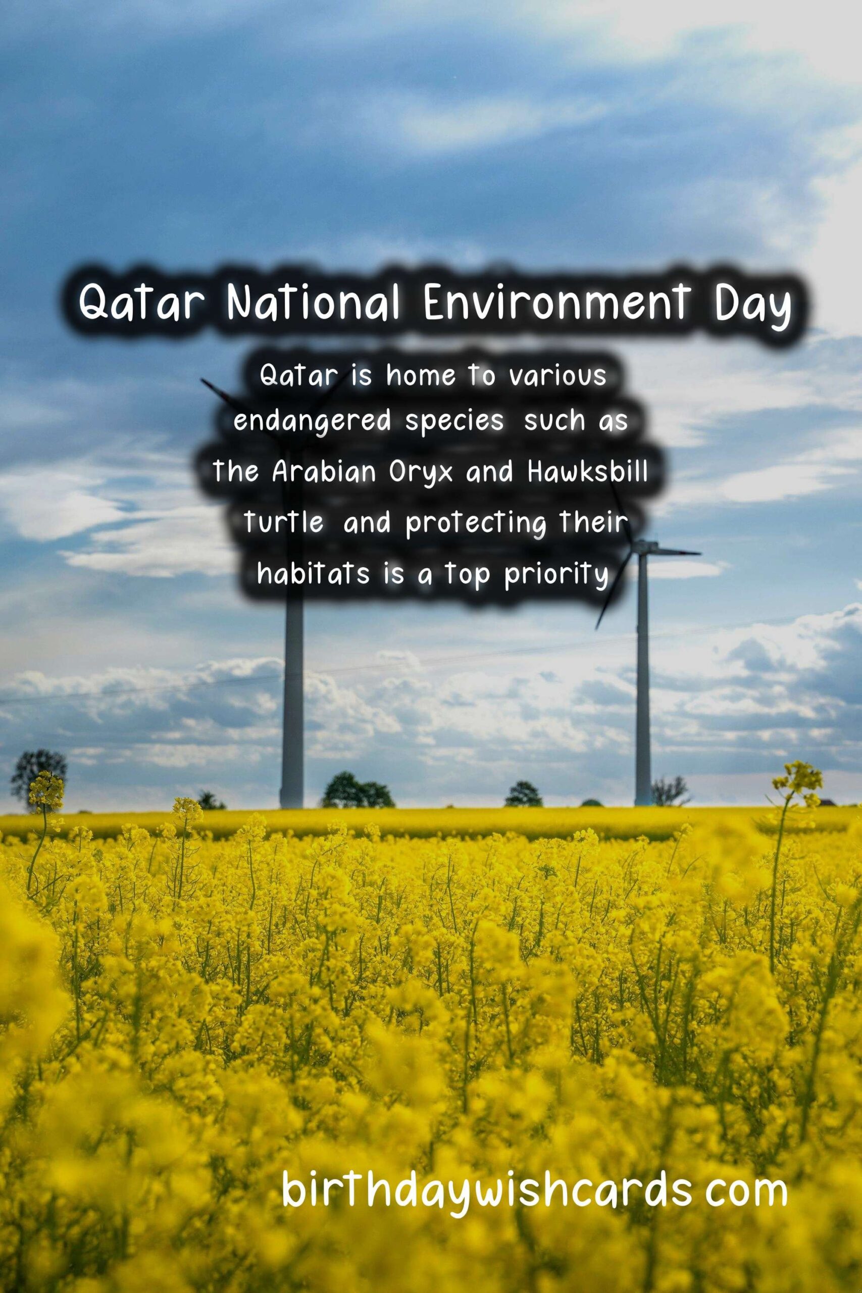 Qatar National Environment Day - February 26