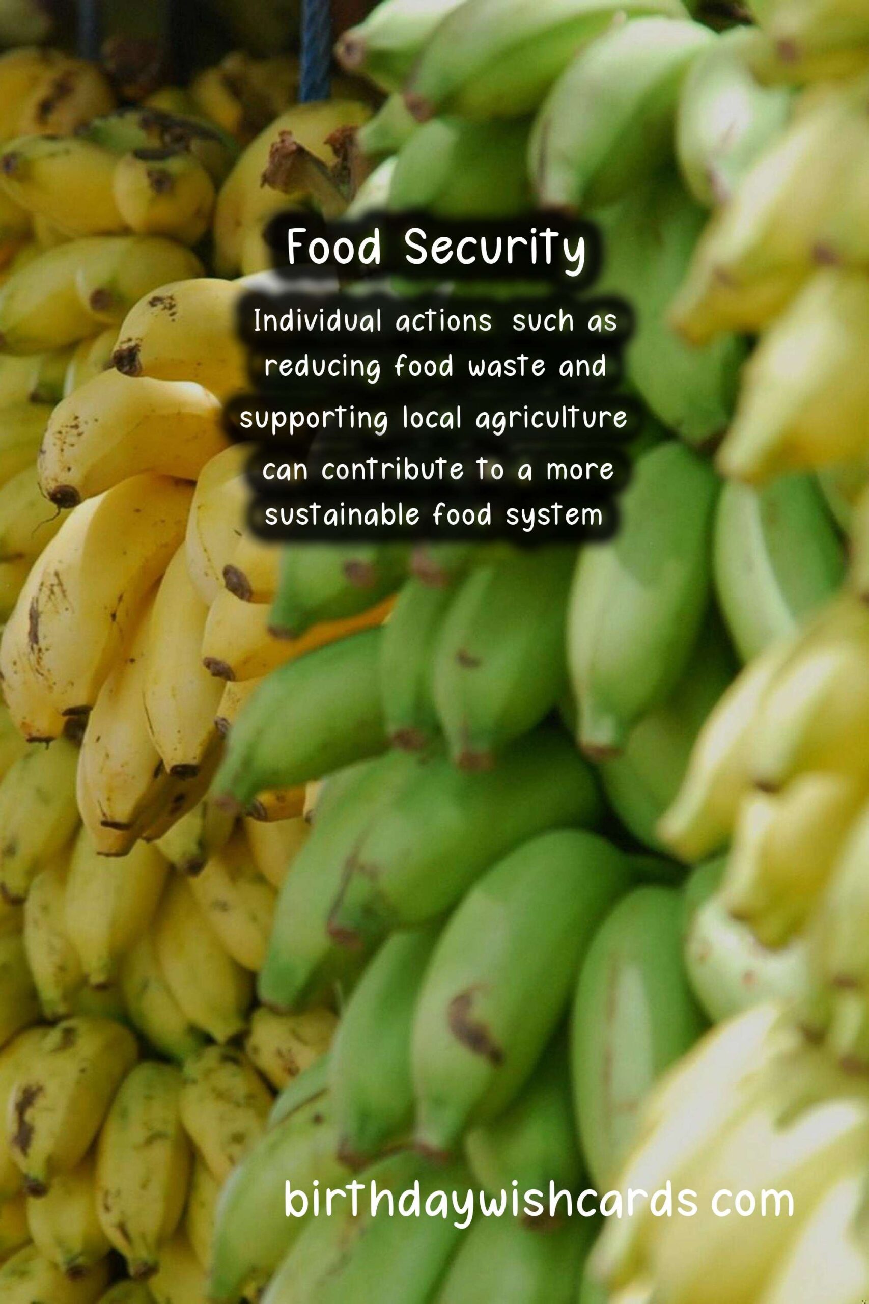 World Food Day Celebrates the Importance of Achieving Food Security for All