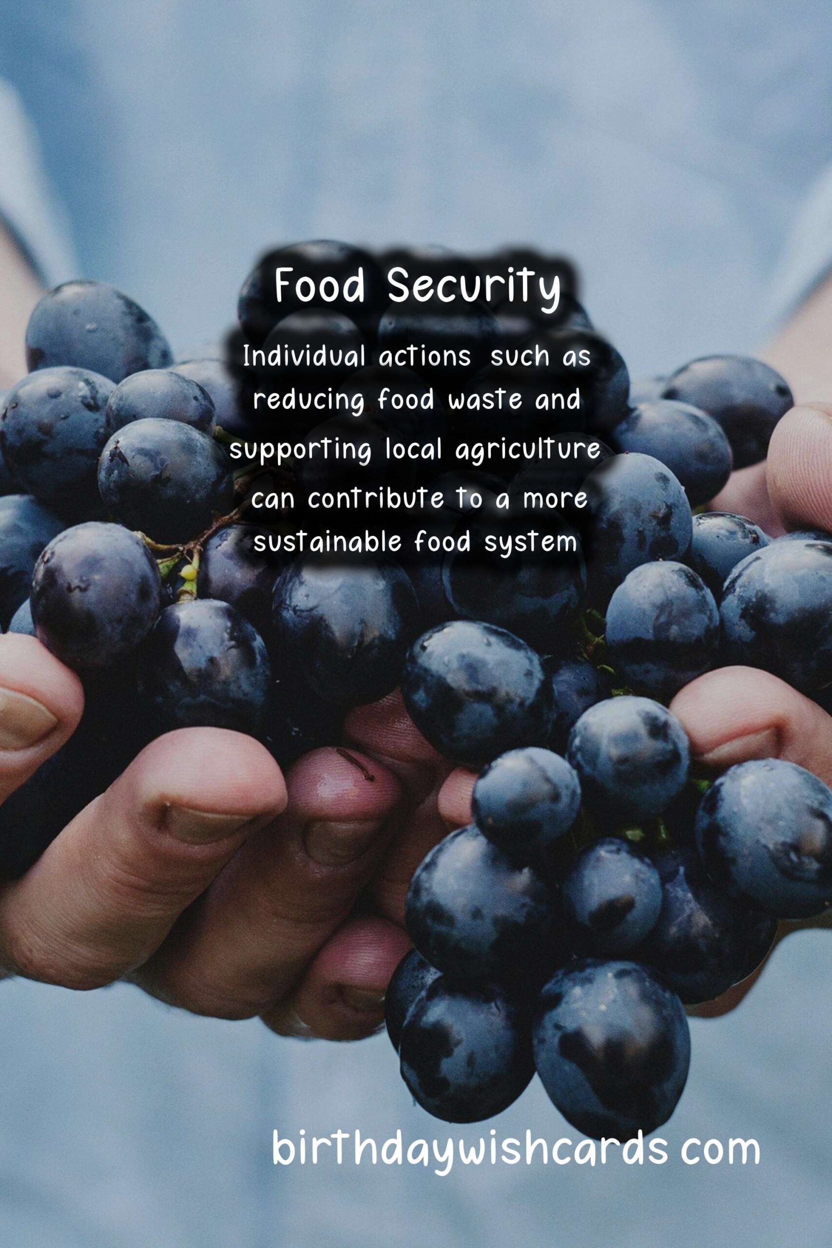 World Food Day Celebrates the Importance of Achieving Food Security for All