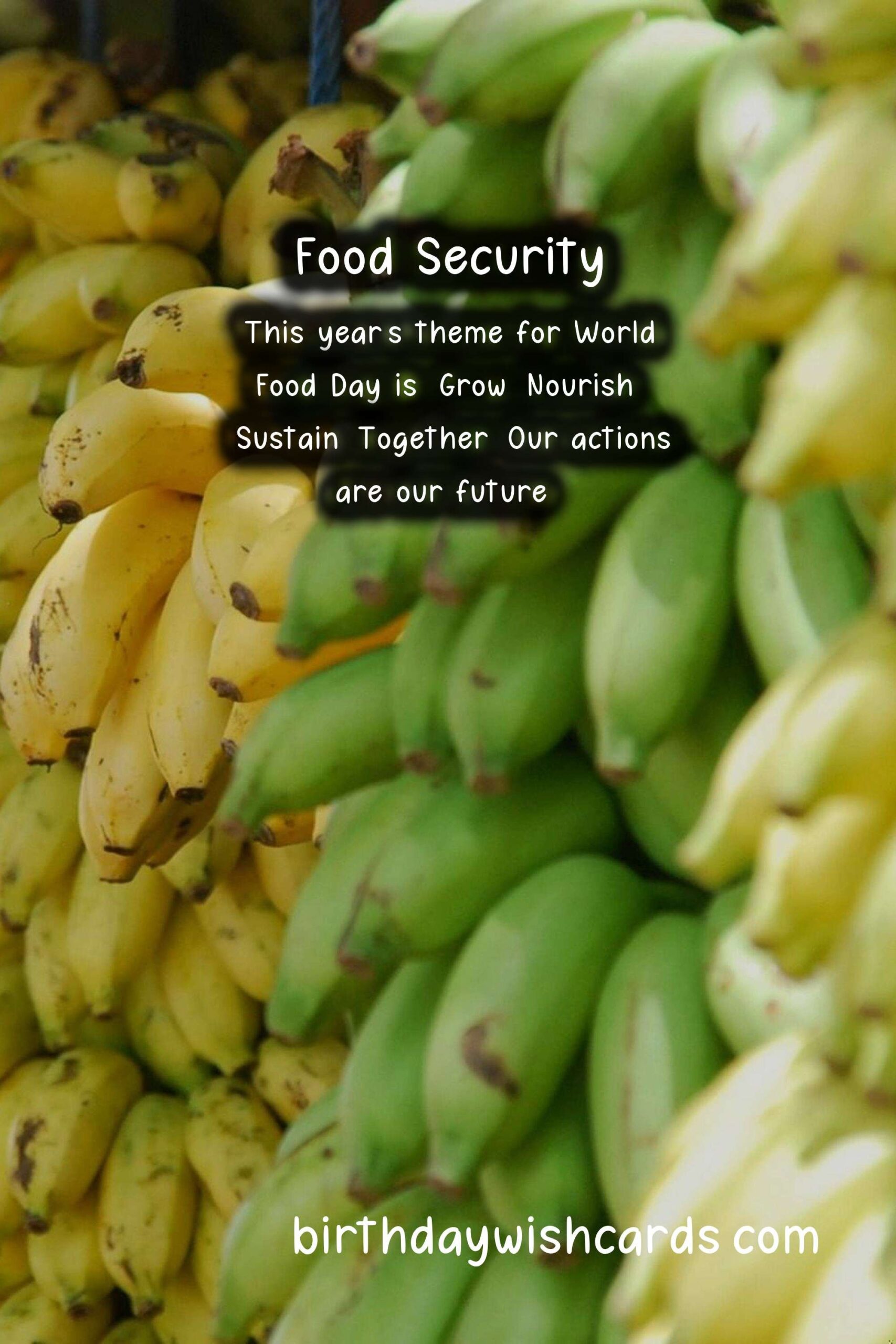 World Food Day Celebrates the Importance of Achieving Food Security for All