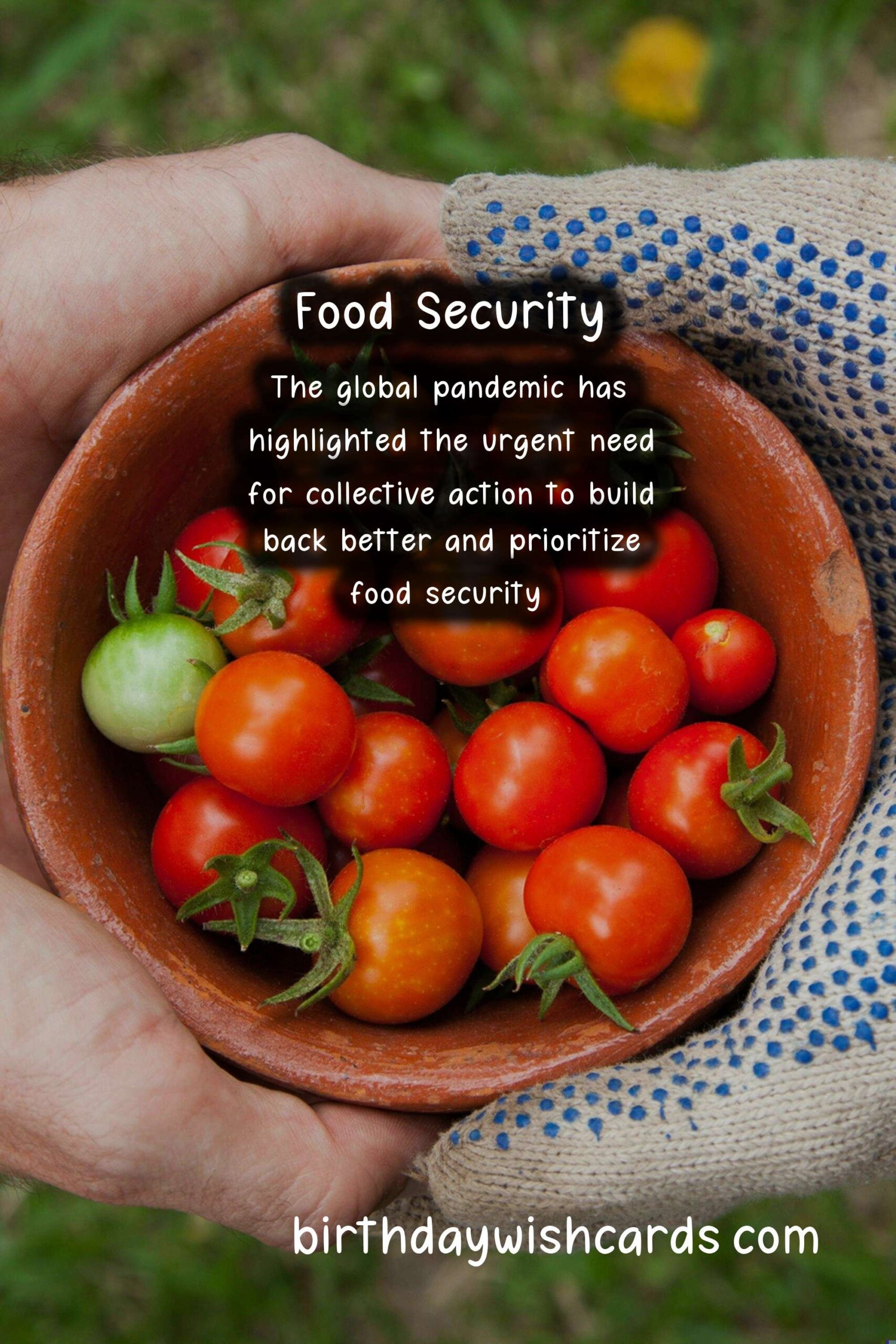 World Food Day Celebrates the Importance of Achieving Food Security for All