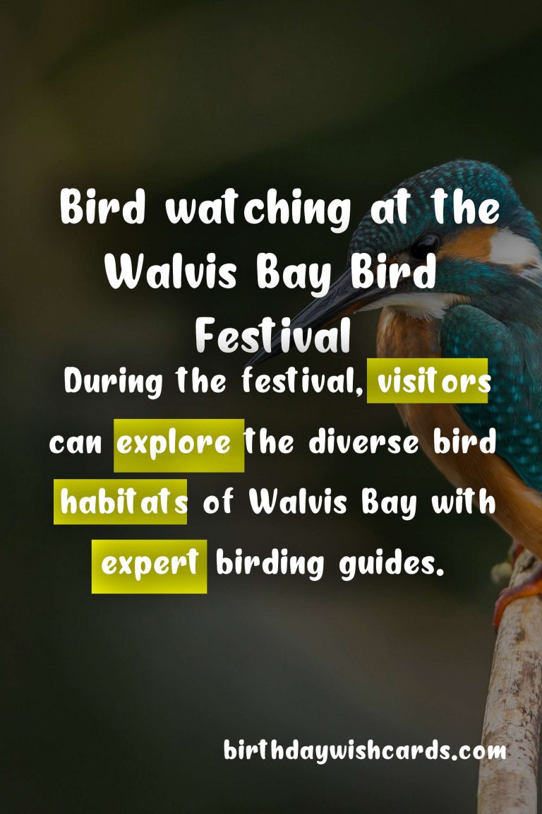 Experience the Wonders of Nature at the Walvis Bay Bird Festival – August 9-11