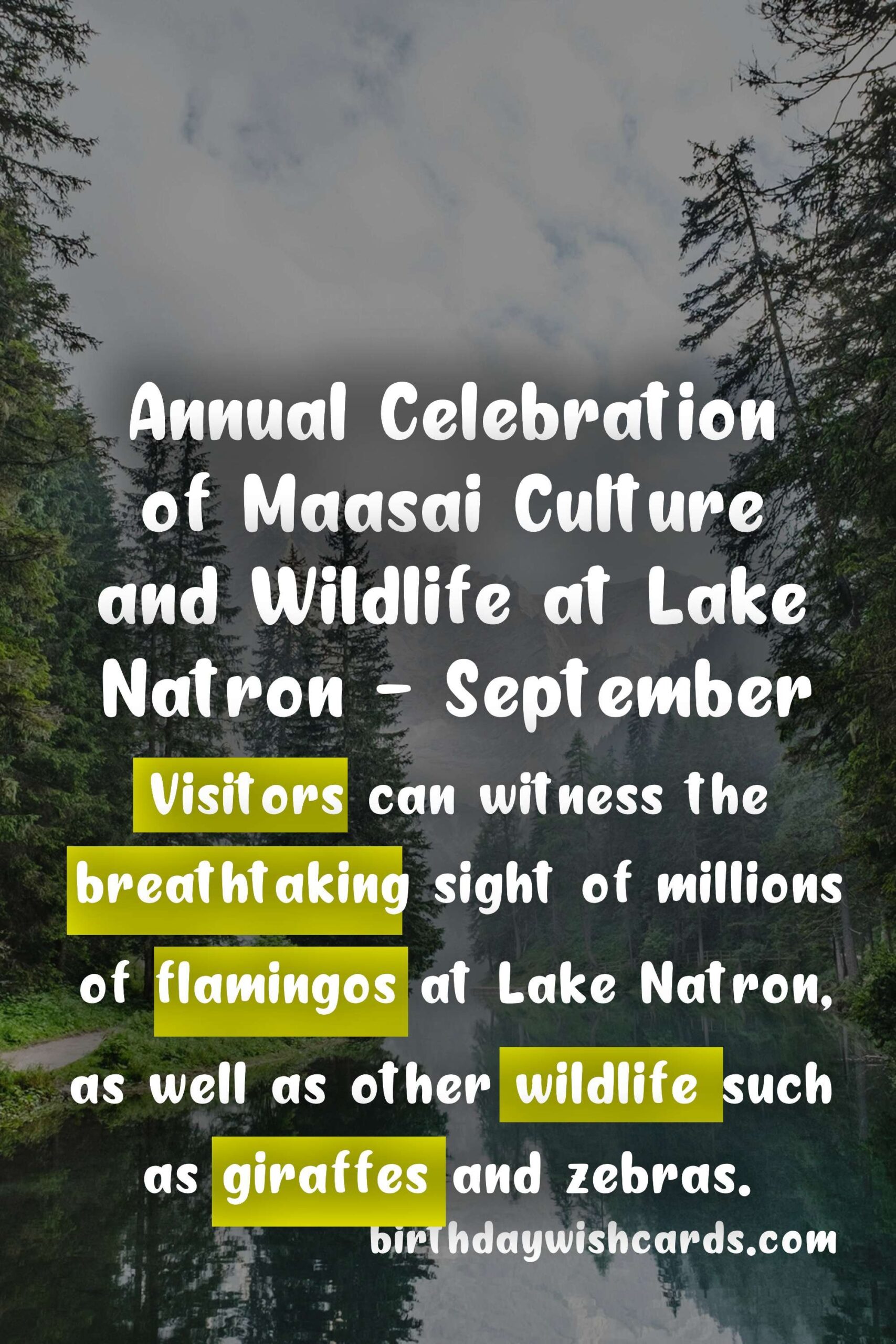 Birthday Wish Cards | Discover the Beauty and Rich Culture of Lake Natron at the Annual Cultural Tourism Festival - September