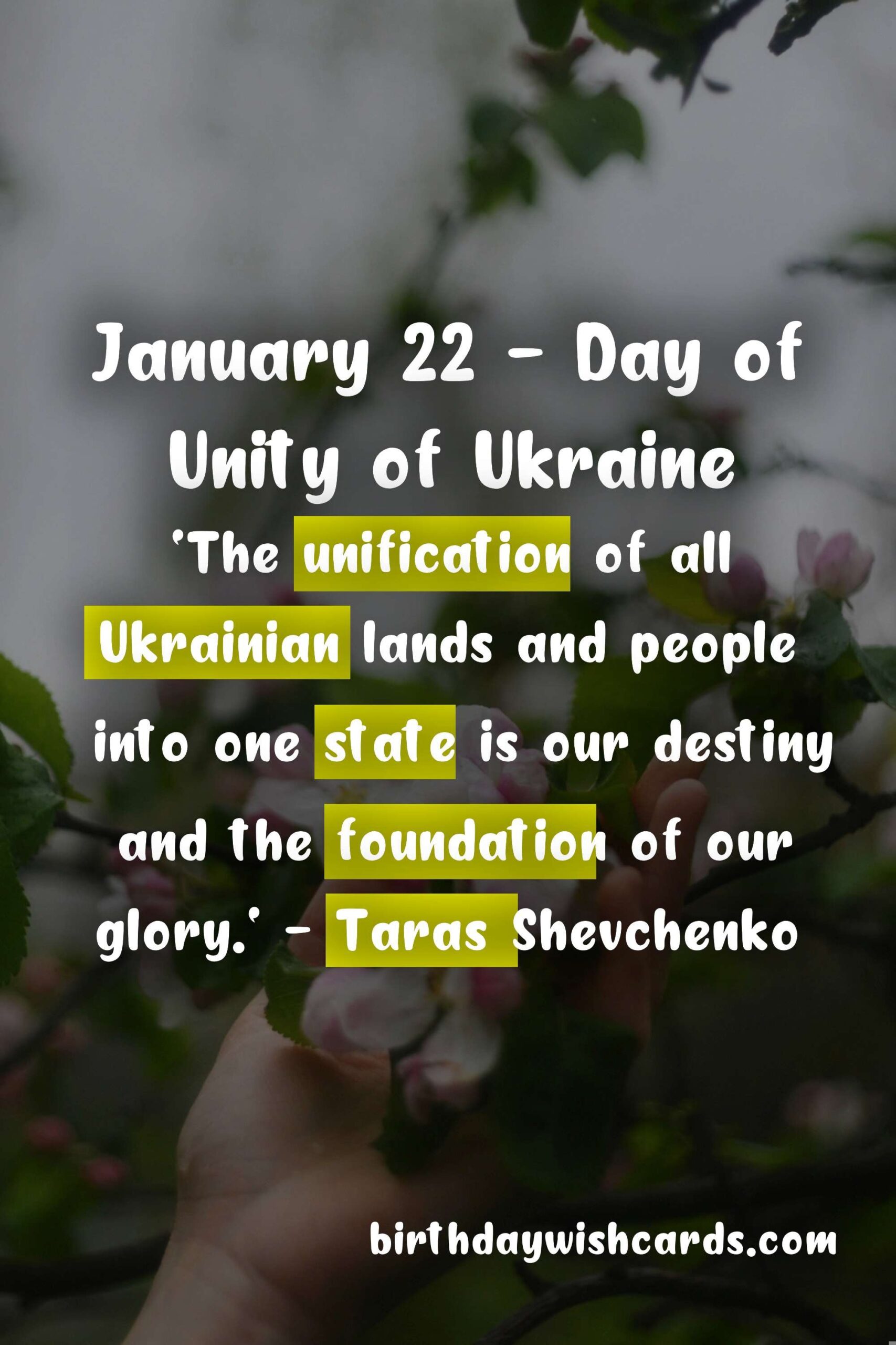 Birthday Wish Cards | January 22 - Day of Unity of Ukraine