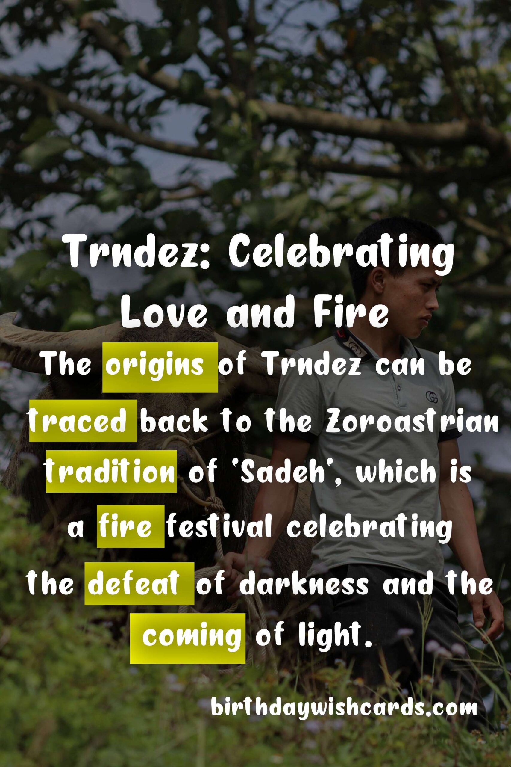 Birthday Wish Cards | Trndez: A Celebration of Love and Fire