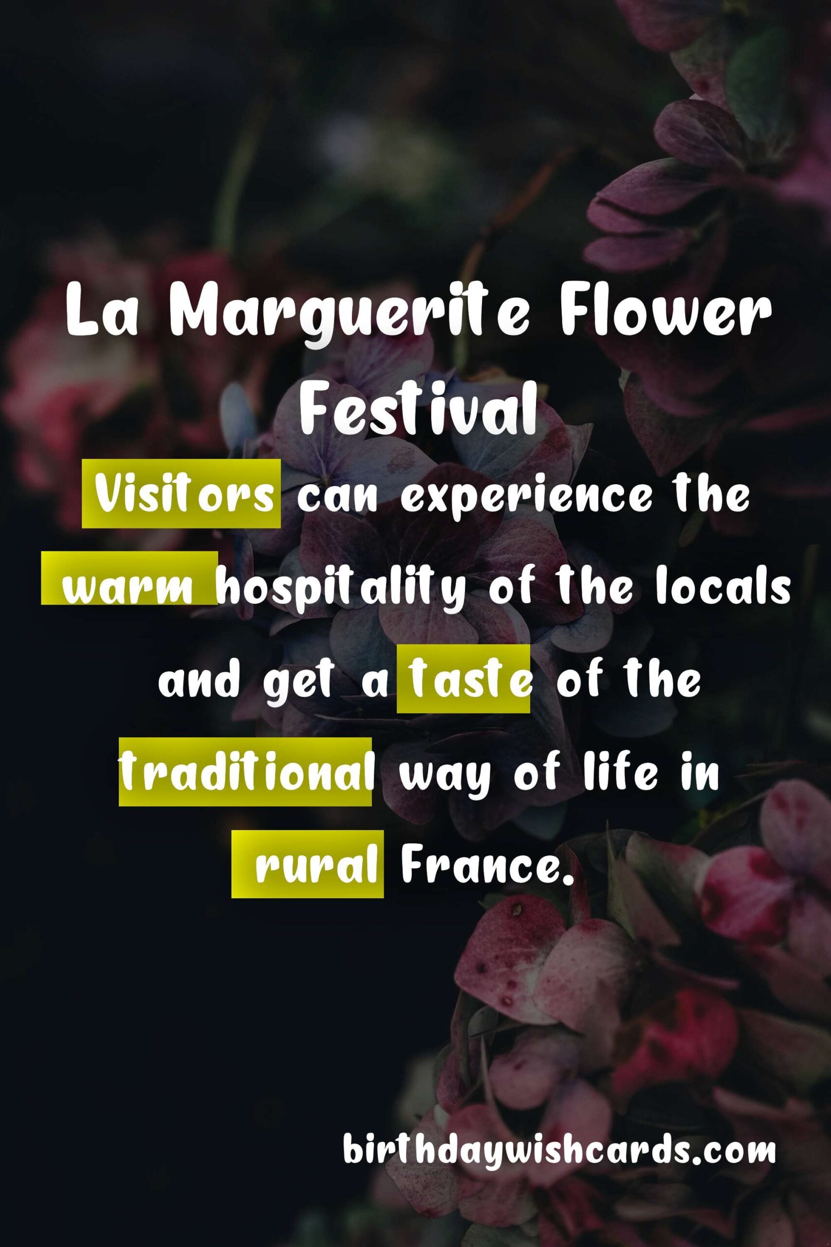Birthday Wish Cards | Celebrate the Beauty of Nature at La Marguerite Flower Festival - August 30