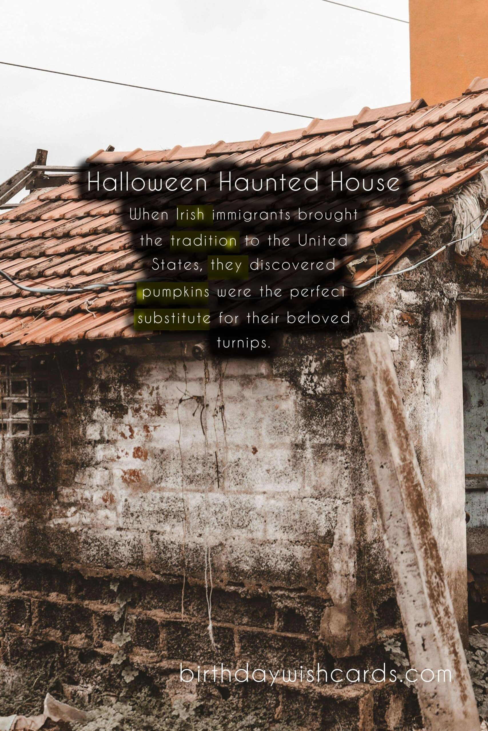 Halloween: Celebrating the Spooky and Fun Tradition of October 31