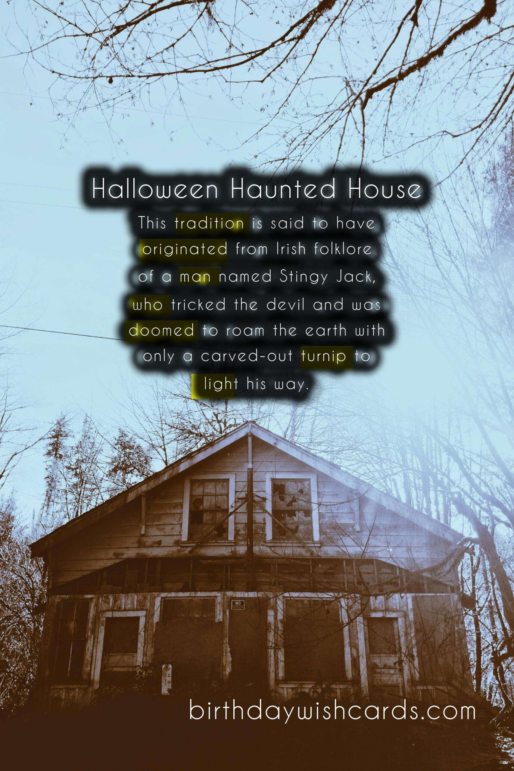 Halloween: Celebrating the Spooky and Fun Tradition of October 31