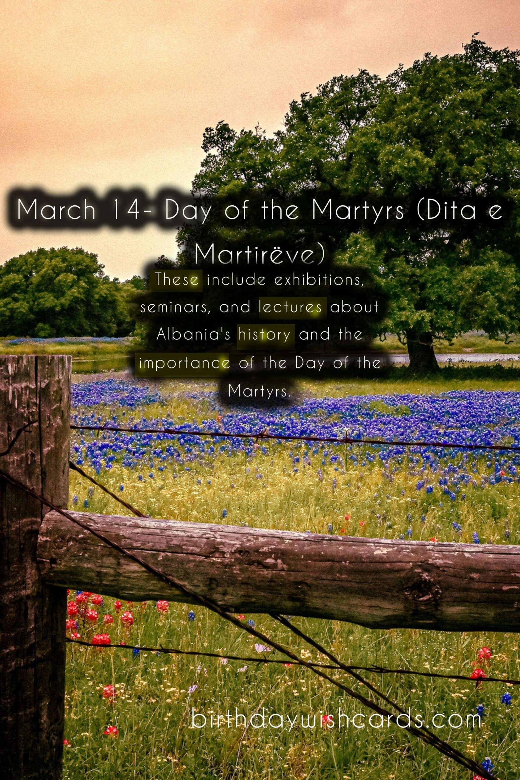 Birthday Wish Cards | March 14- Day of the Martyrs (Dita e Martirëve)