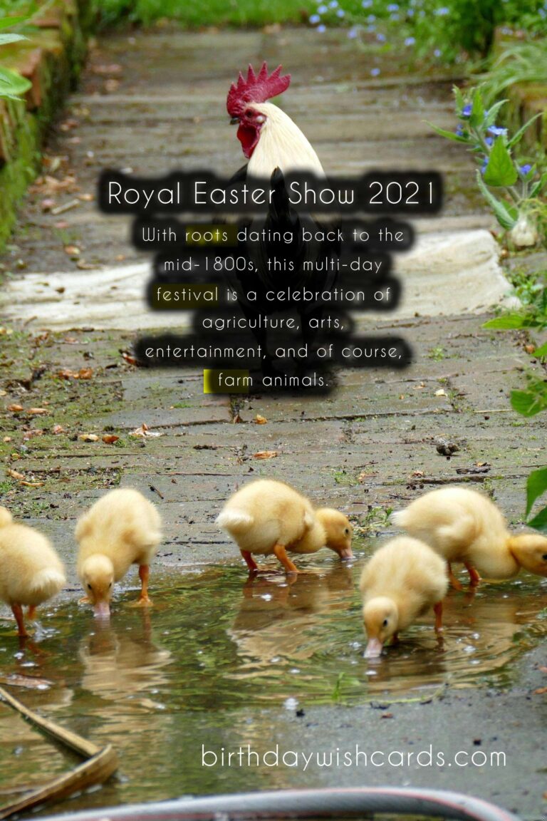 Welcome to the Royal Easter Show – A Family Easter Tradition
