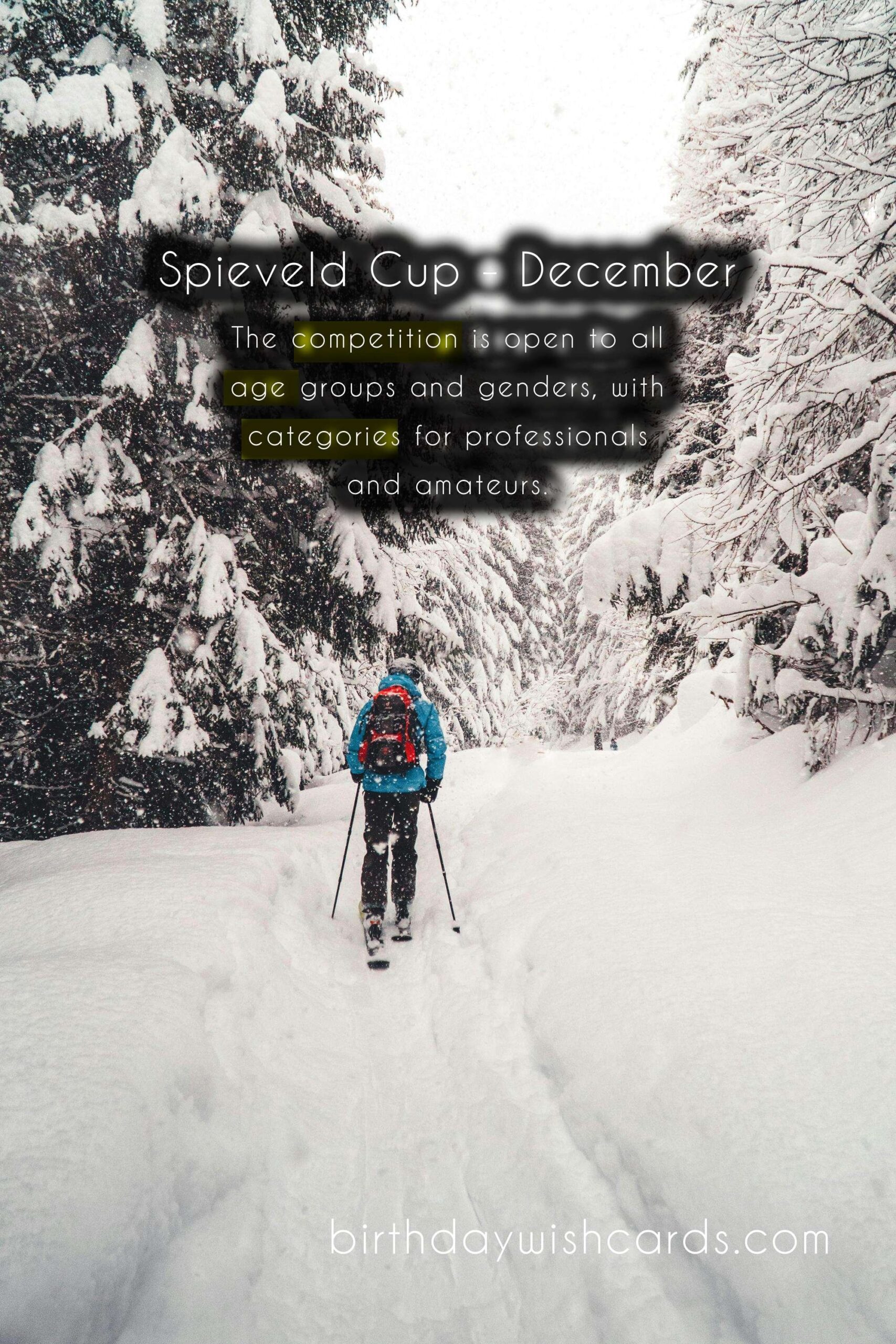 Spieveld Cup - December