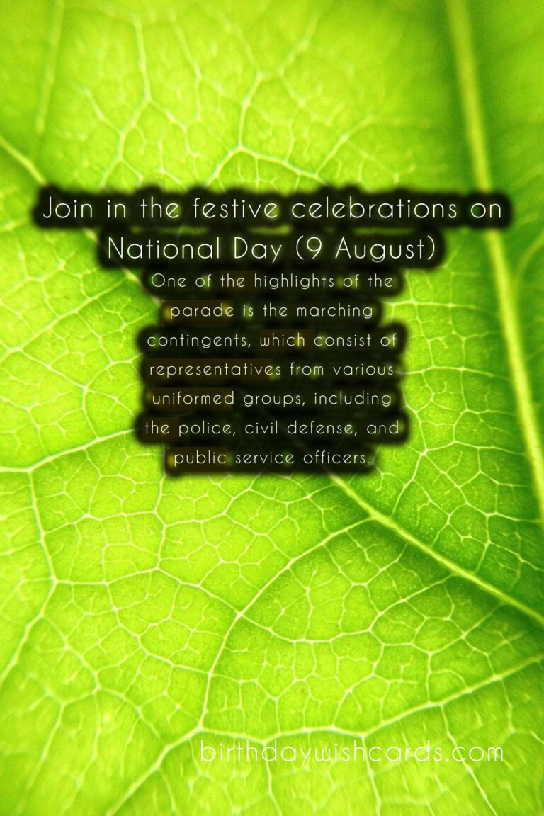 Celebrate Singapore’s National Day Parade (9 August)