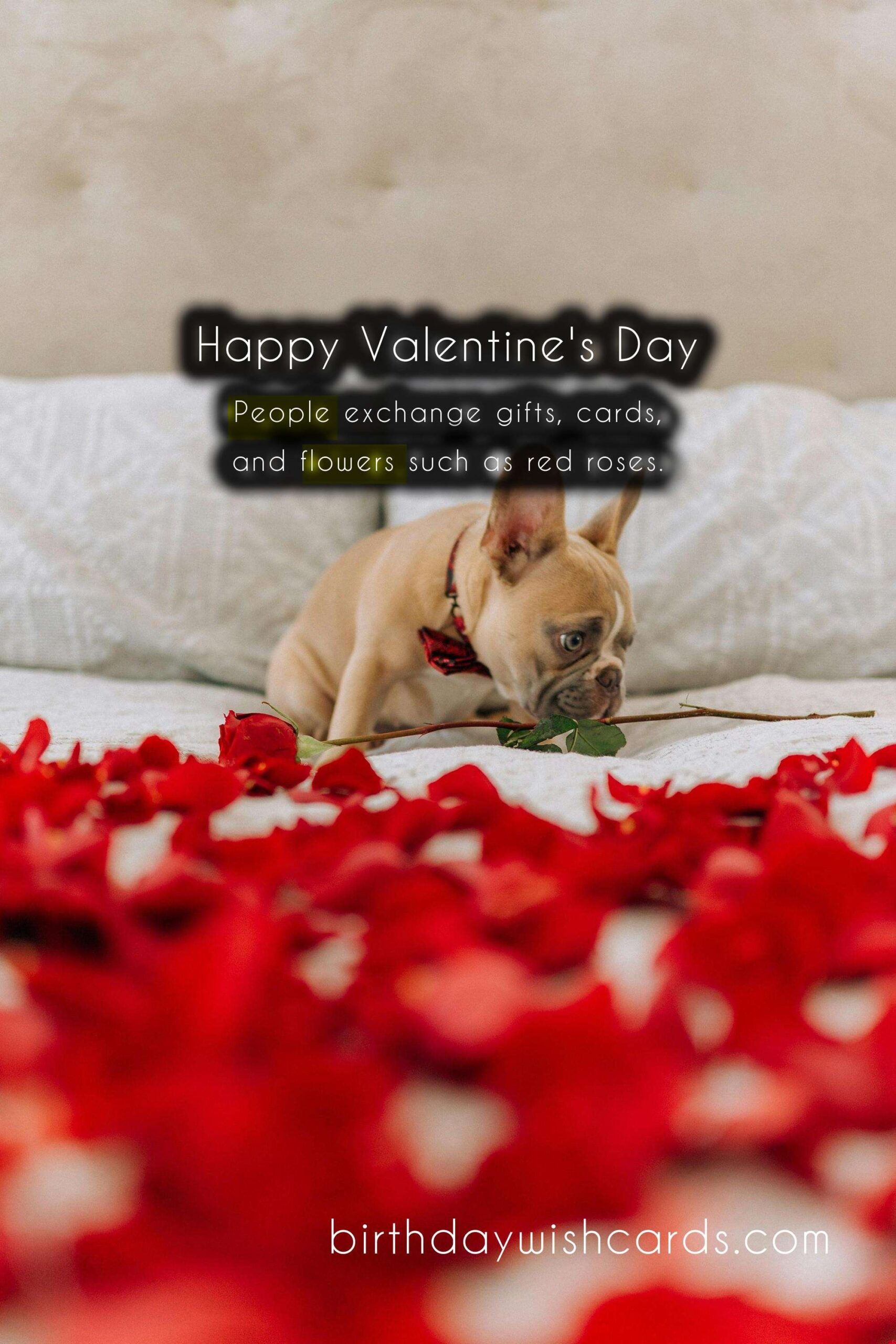 The History and Importance of Valentine's Day