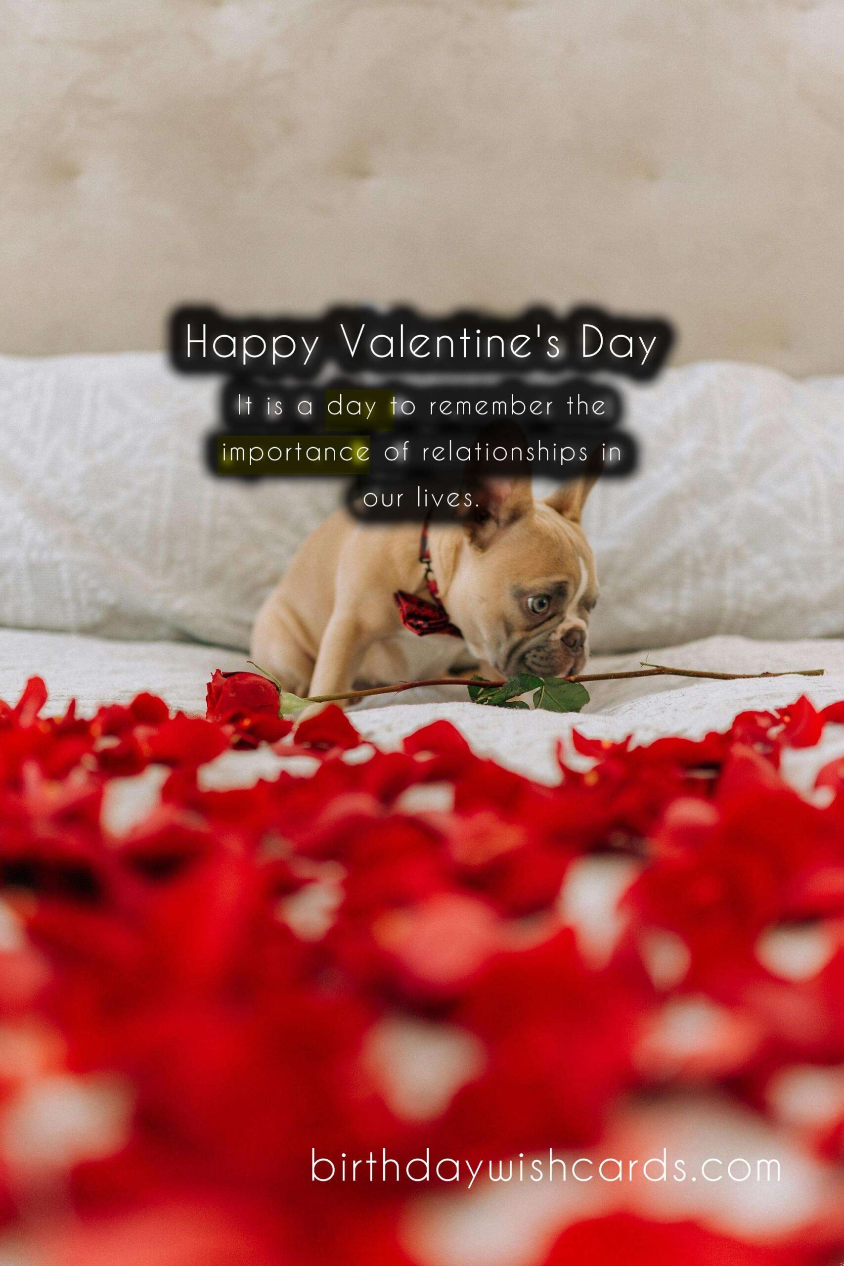 The History and Importance of Valentine's Day