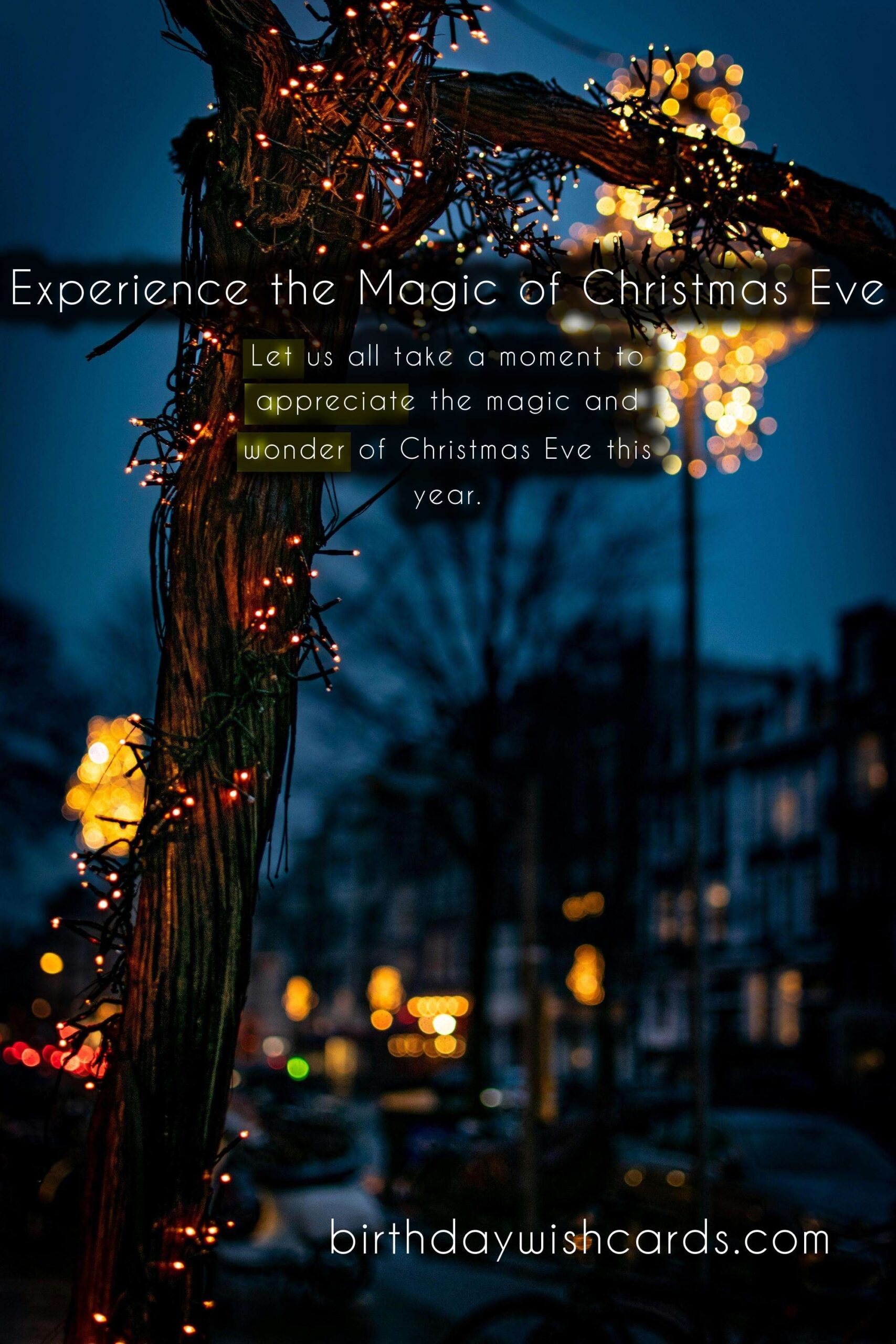 Experience the Magic of Christmas Eve - Celebrating December 24th