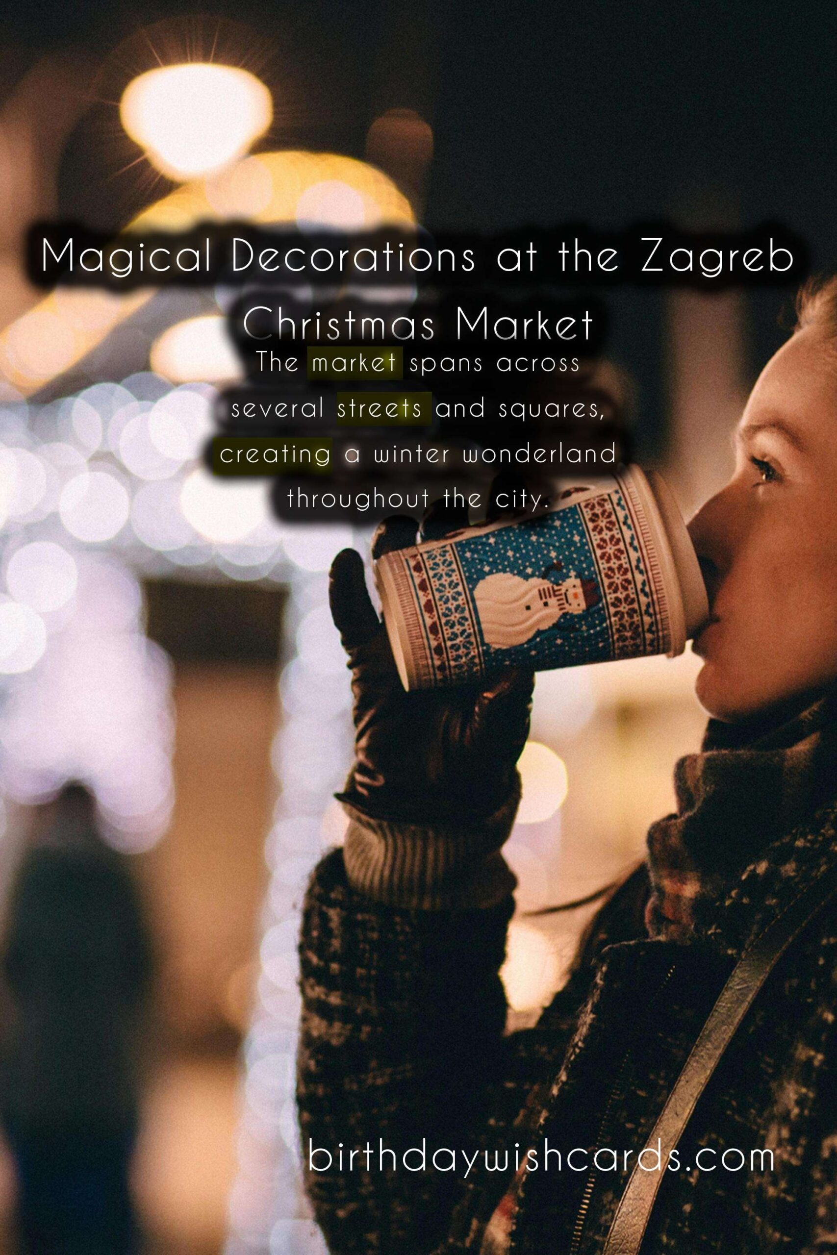 Experience the Magic at Zagreb Christmas Market - November-January