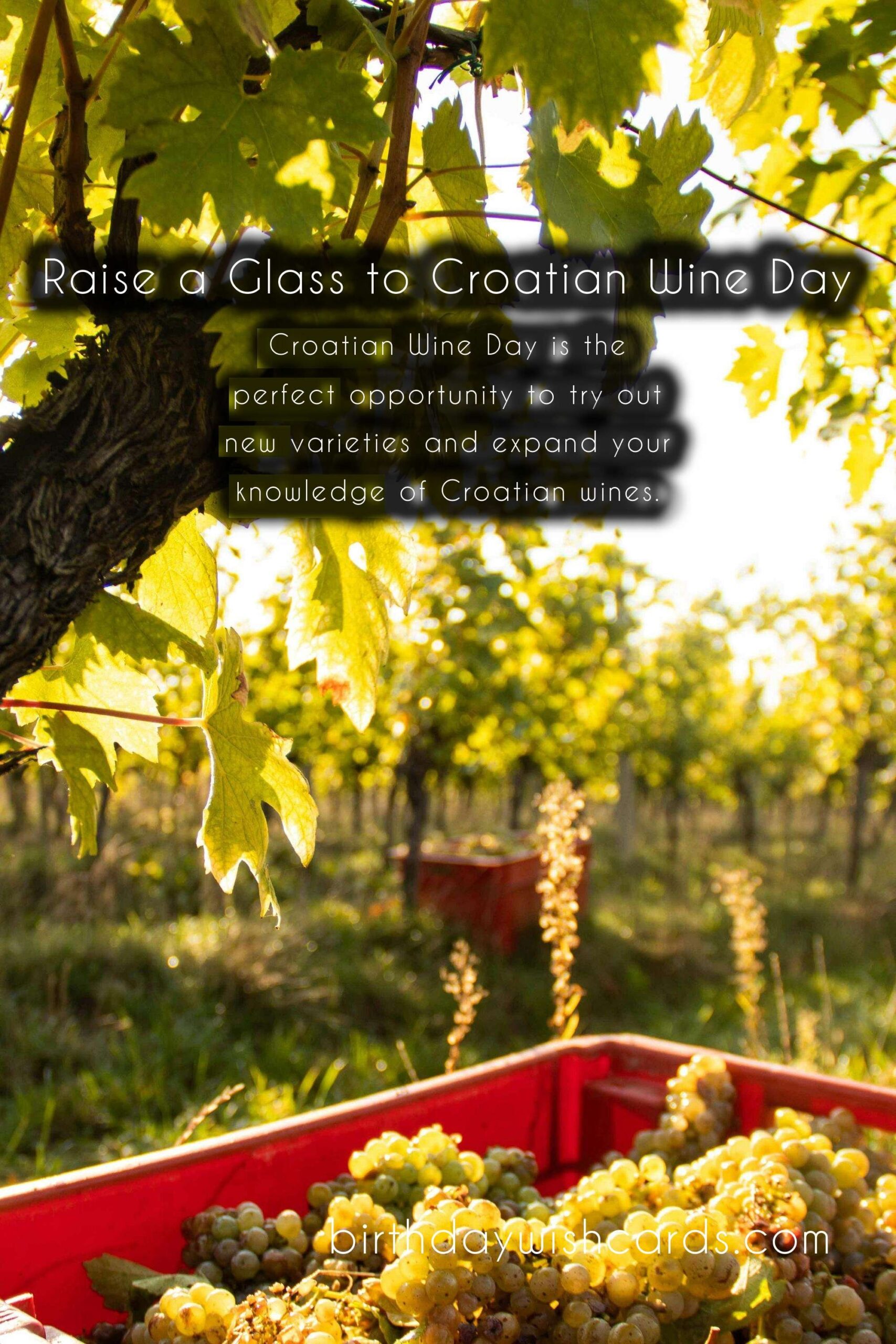 Celebrate Croatian Wine Day on December 26