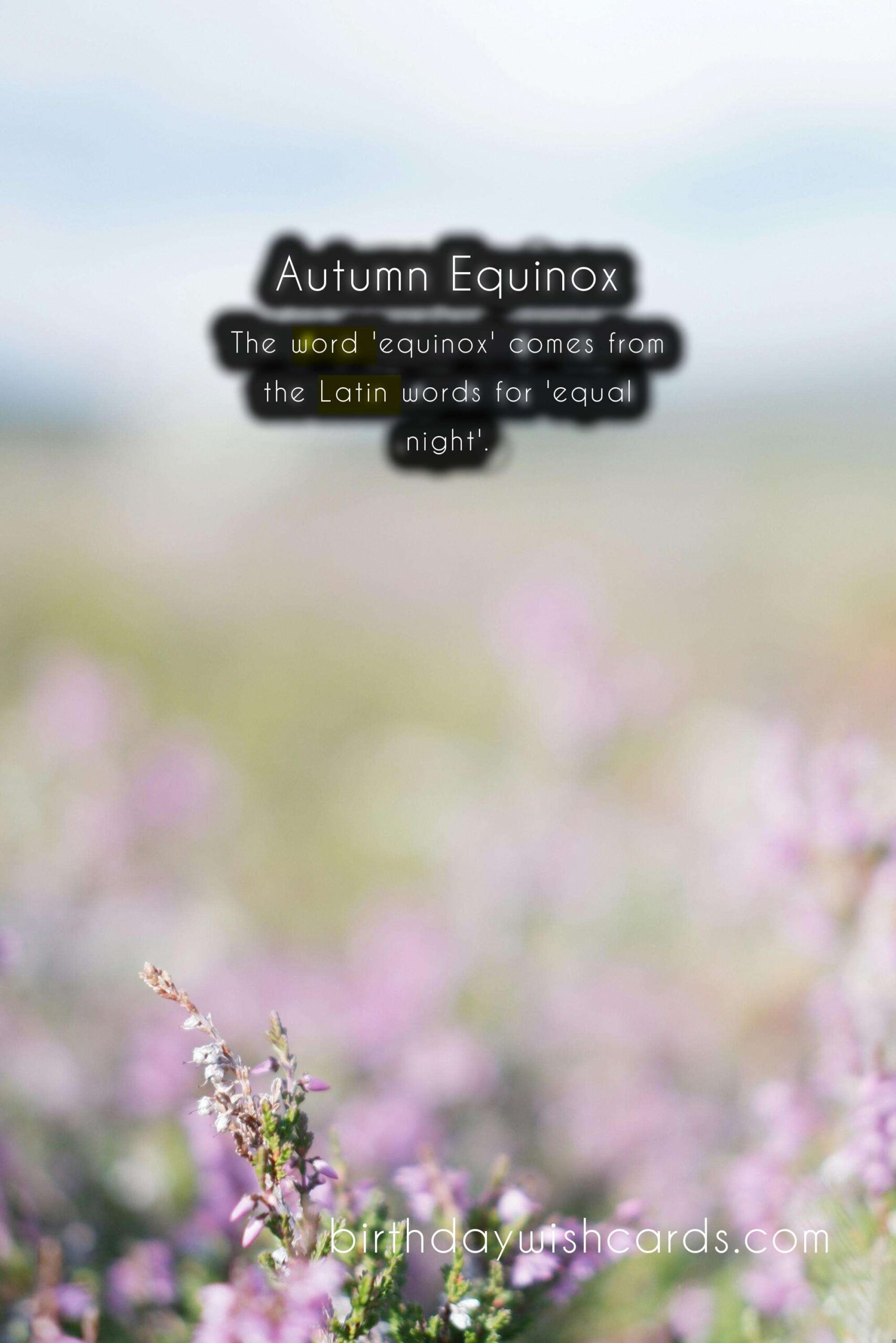 Birthday Wish Cards | Fall Equinox: The Arrival of Autumn