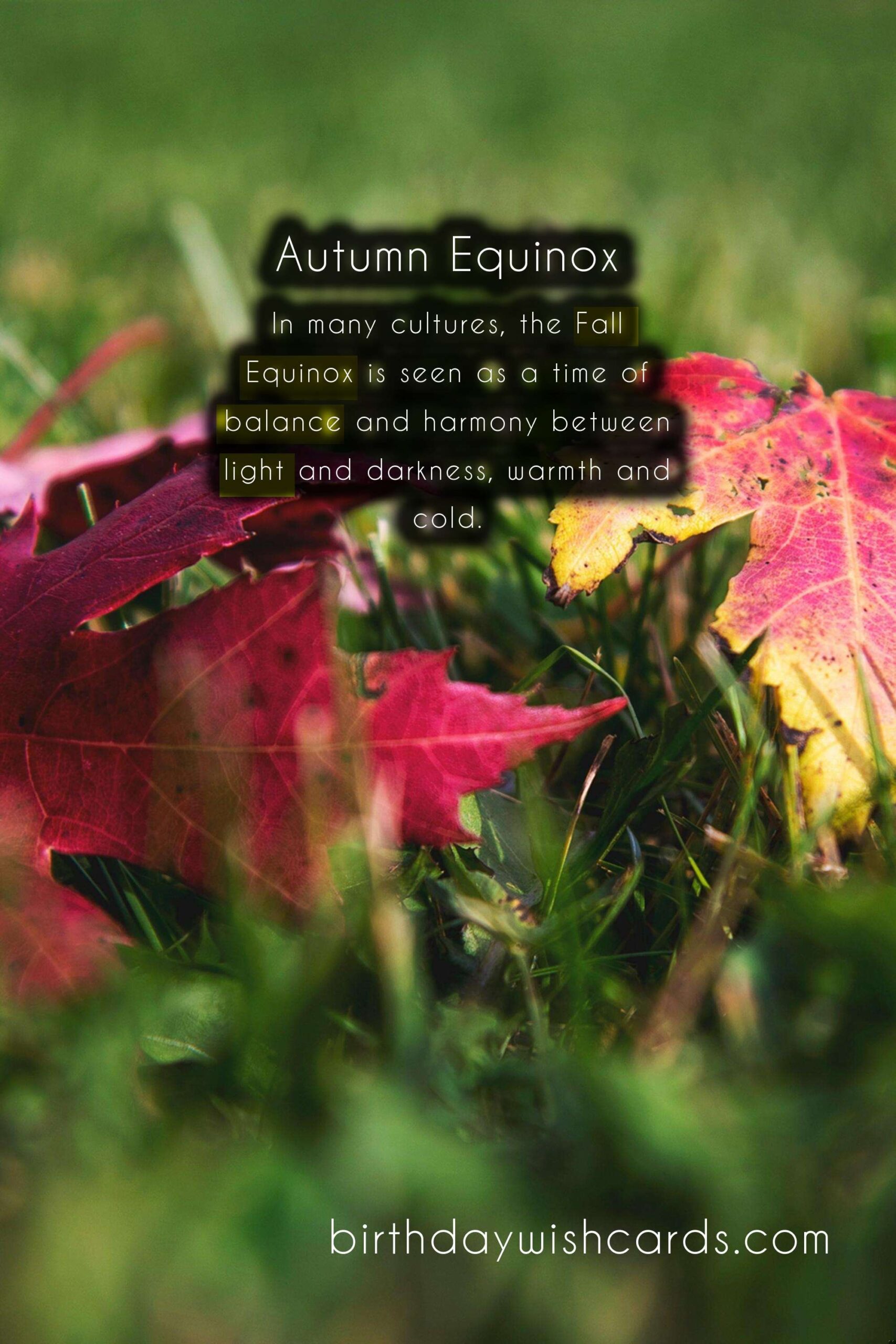 Fall Equinox: The Arrival of Autumn