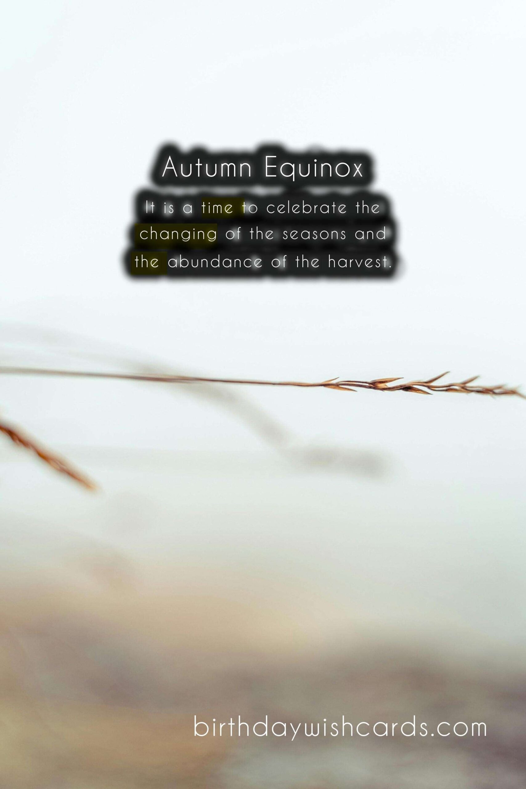 Fall Equinox: The Arrival of Autumn