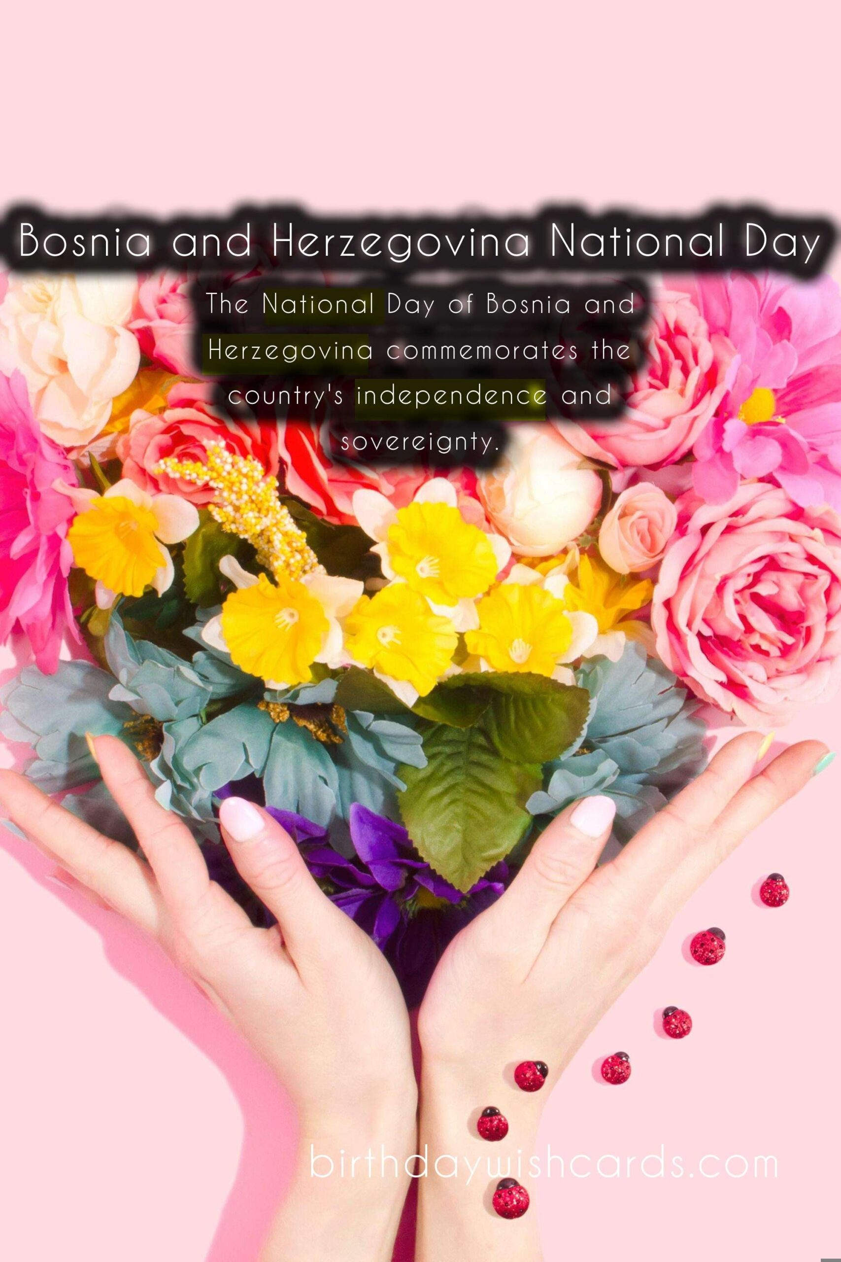 Celebrate Bosnia and Herzegovina's National Day on June 6