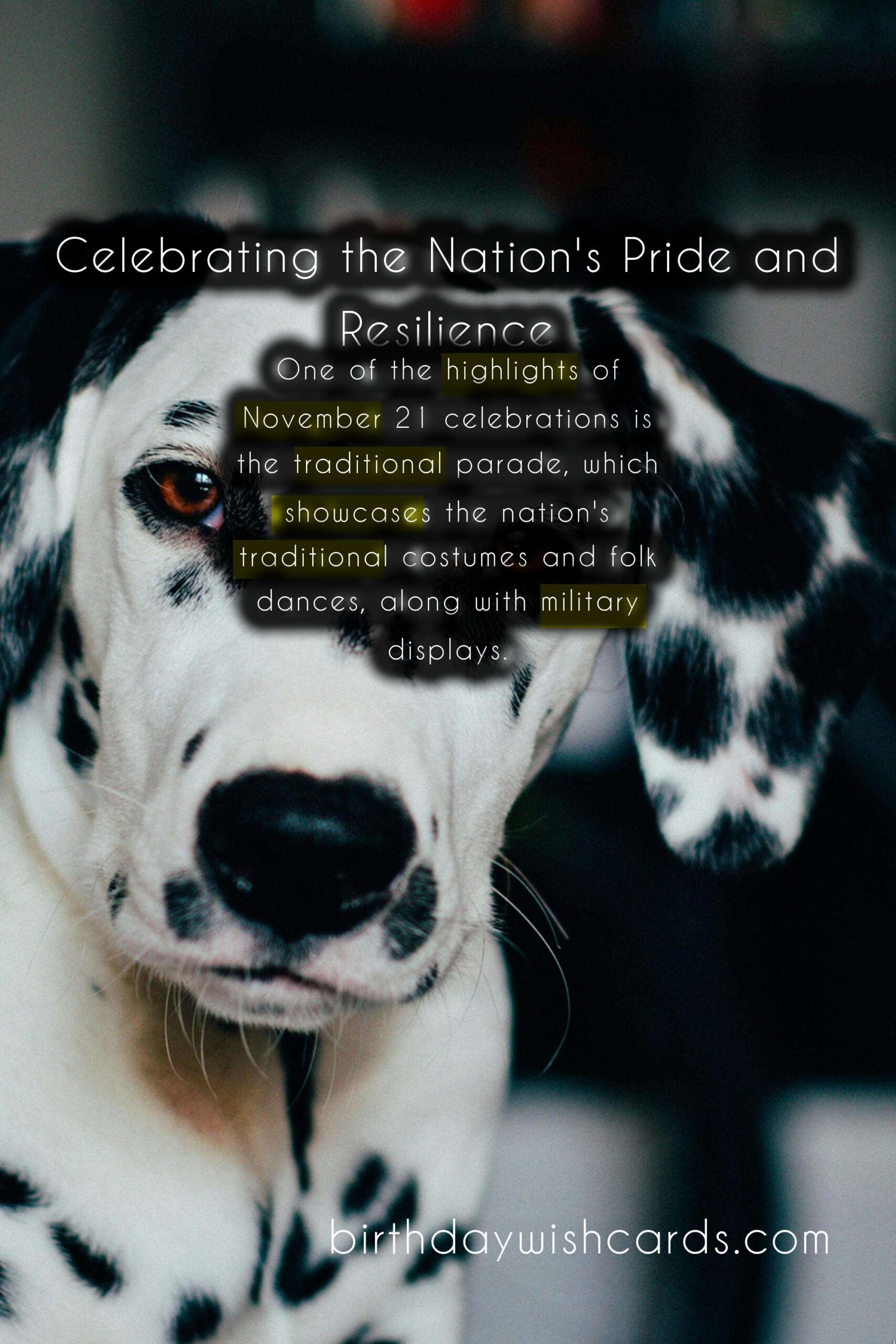 November 21 - Day of Republika Srpska: Celebrating the Nation's Pride and Resilience