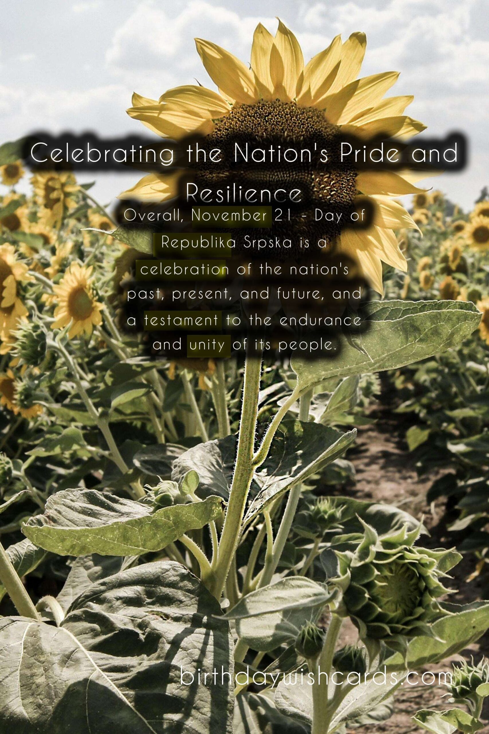 November 21 - Day of Republika Srpska: Celebrating the Nation's Pride and Resilience
