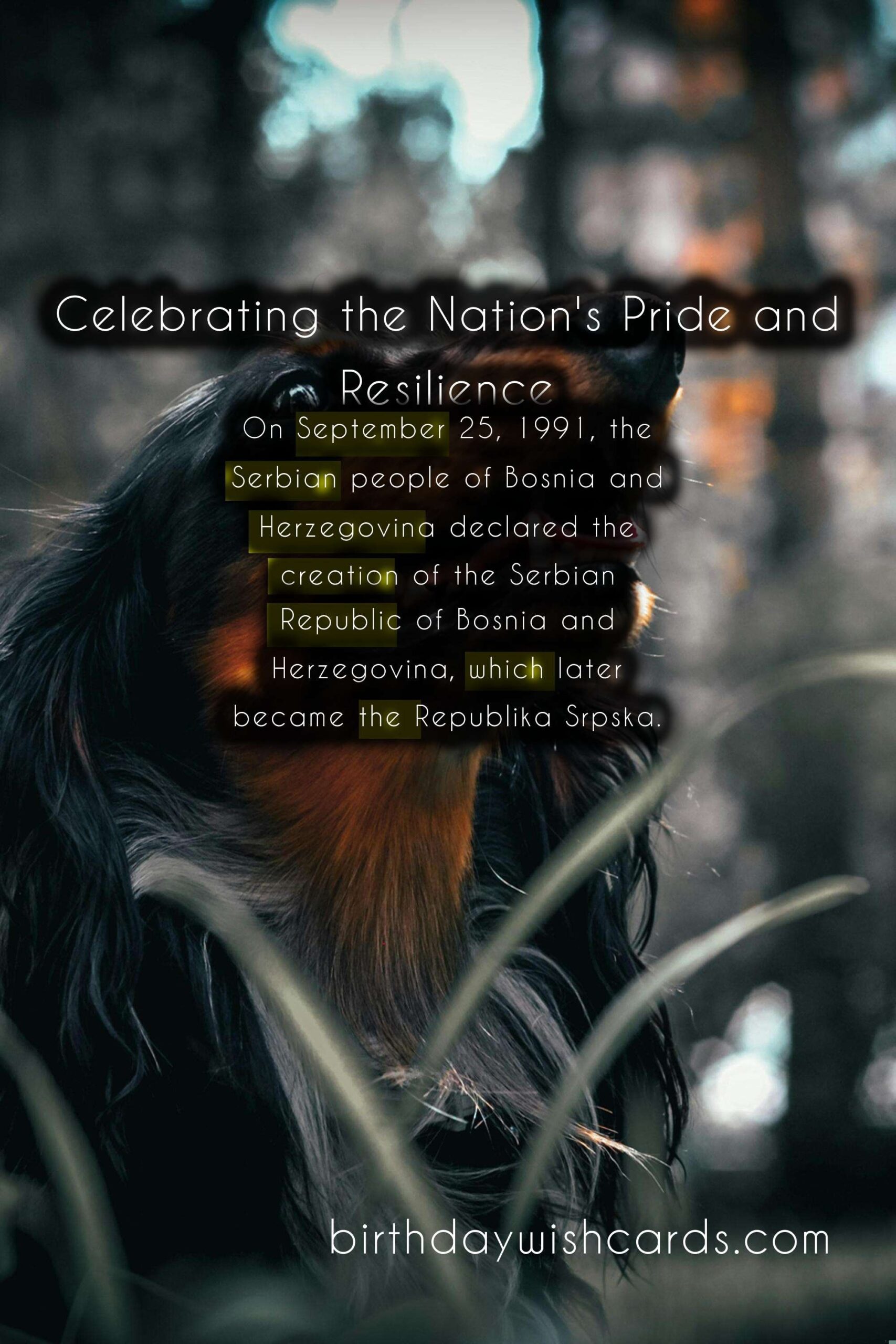 Birthday Wish Cards | November 21 - Day of Republika Srpska: Celebrating the Nation's Pride and Resilience