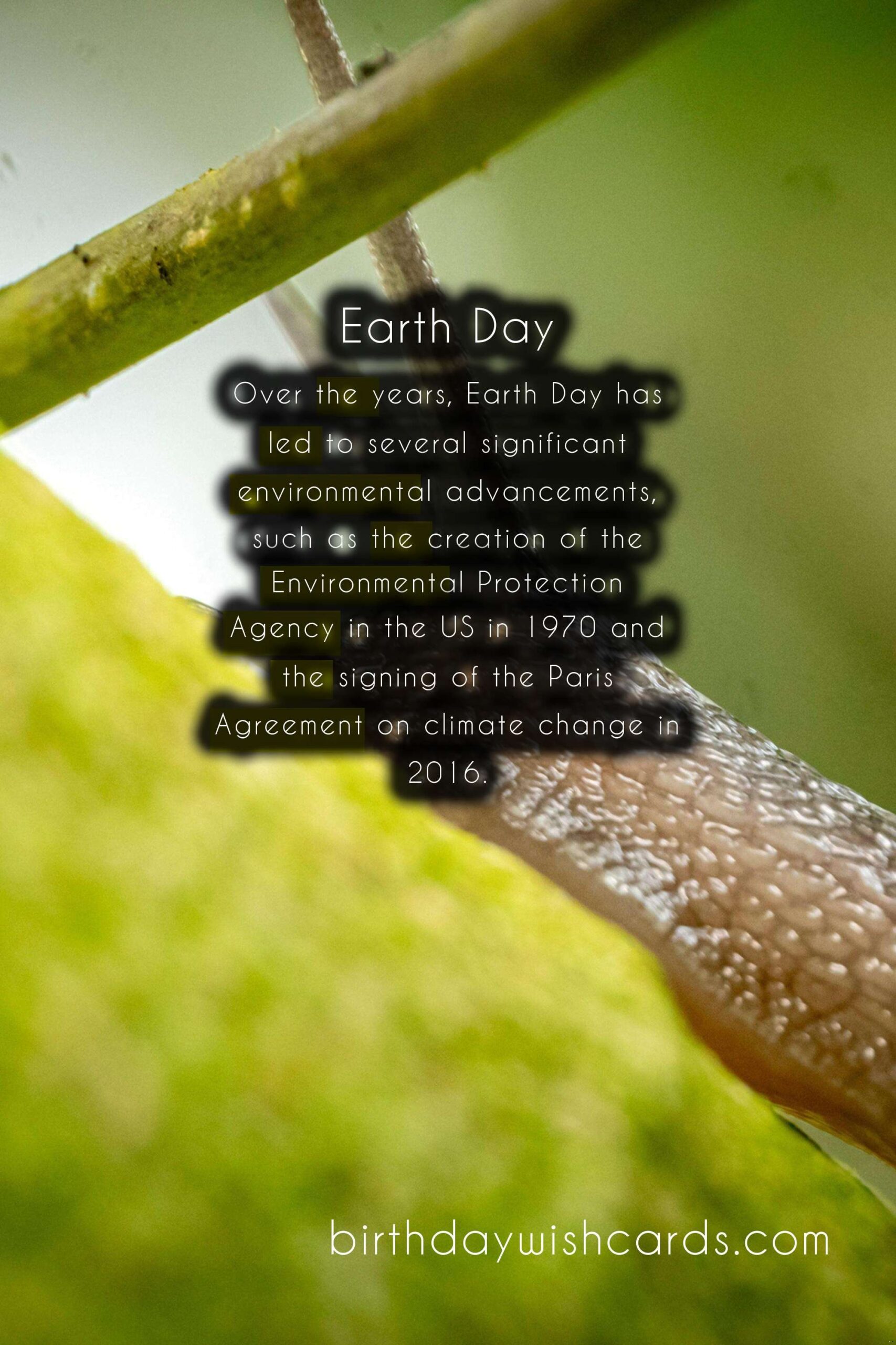 April (last Monday): Earth Day