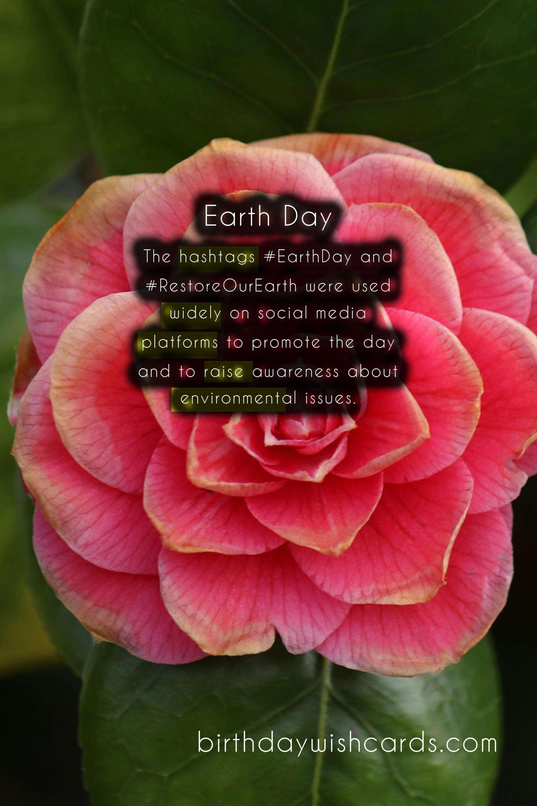 April (last Monday): Earth Day