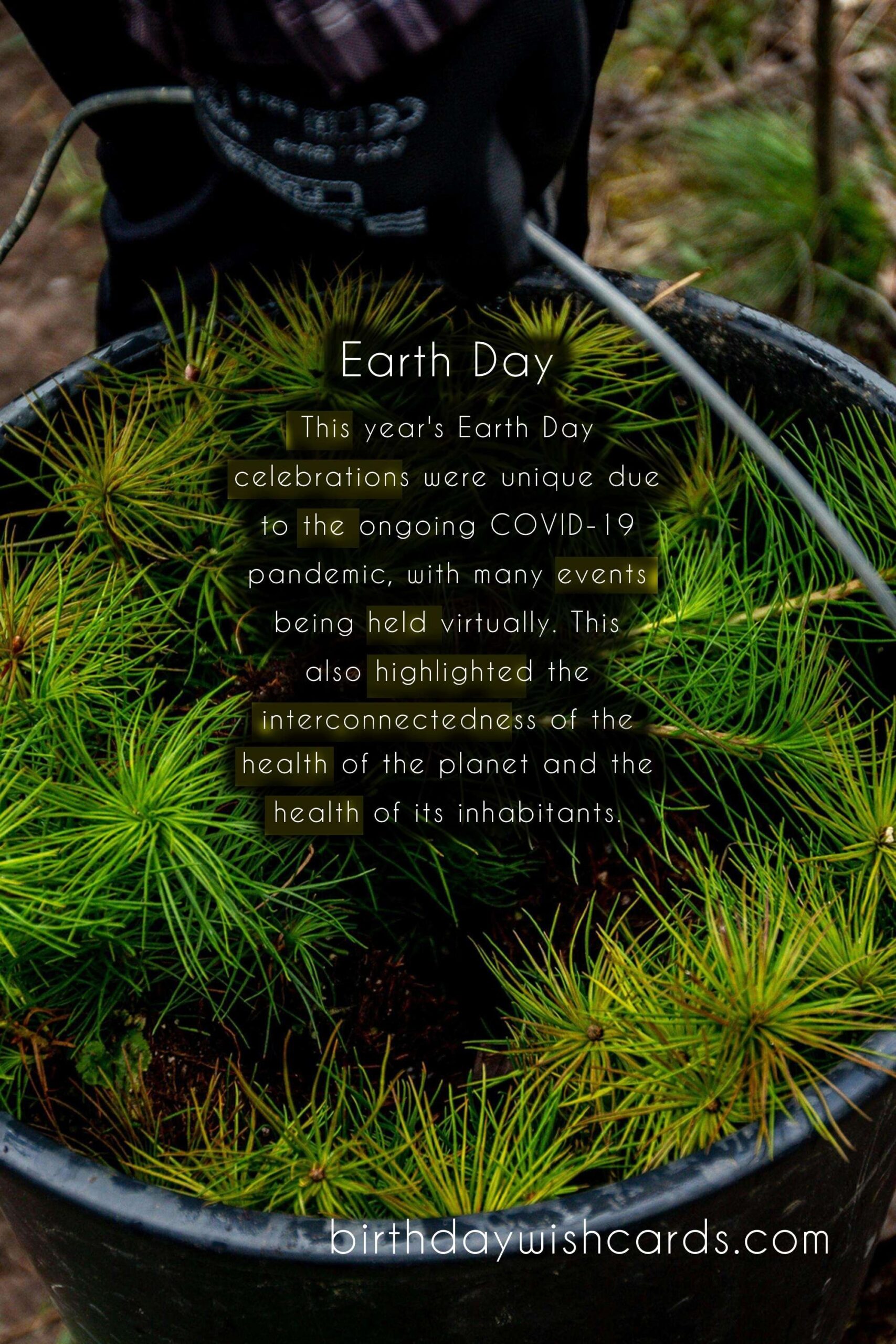 April (last Monday): Earth Day