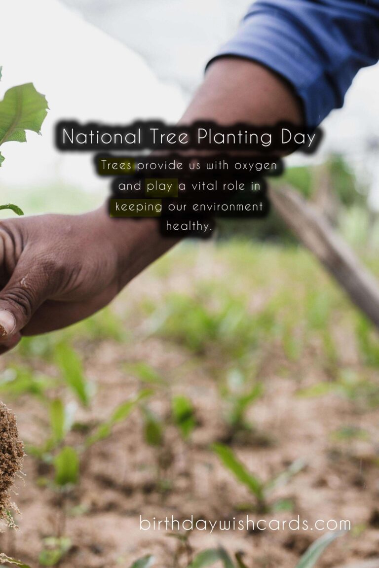 First Saturday in December: National Tree Planting Day