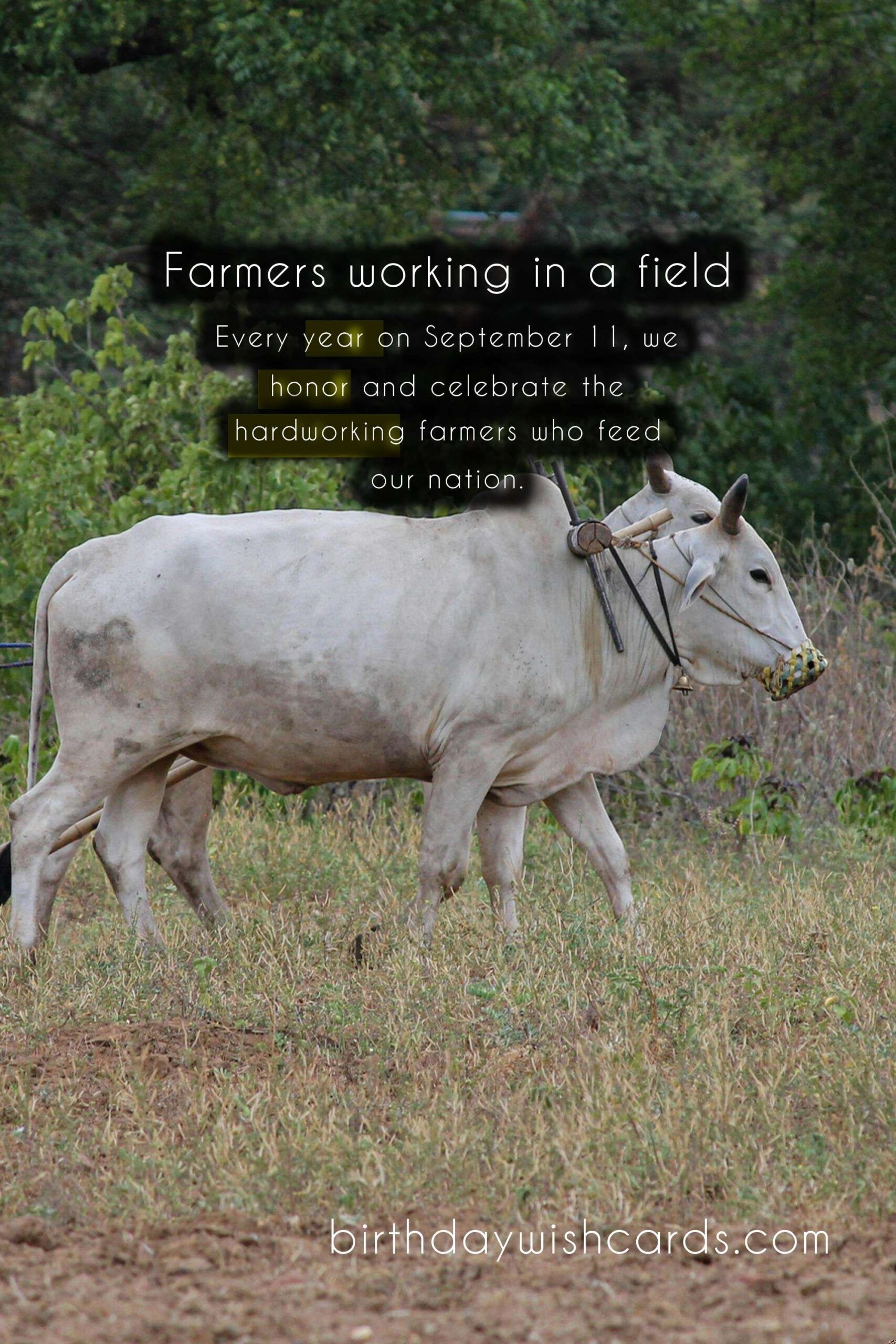 September 11: National Farmer's Day