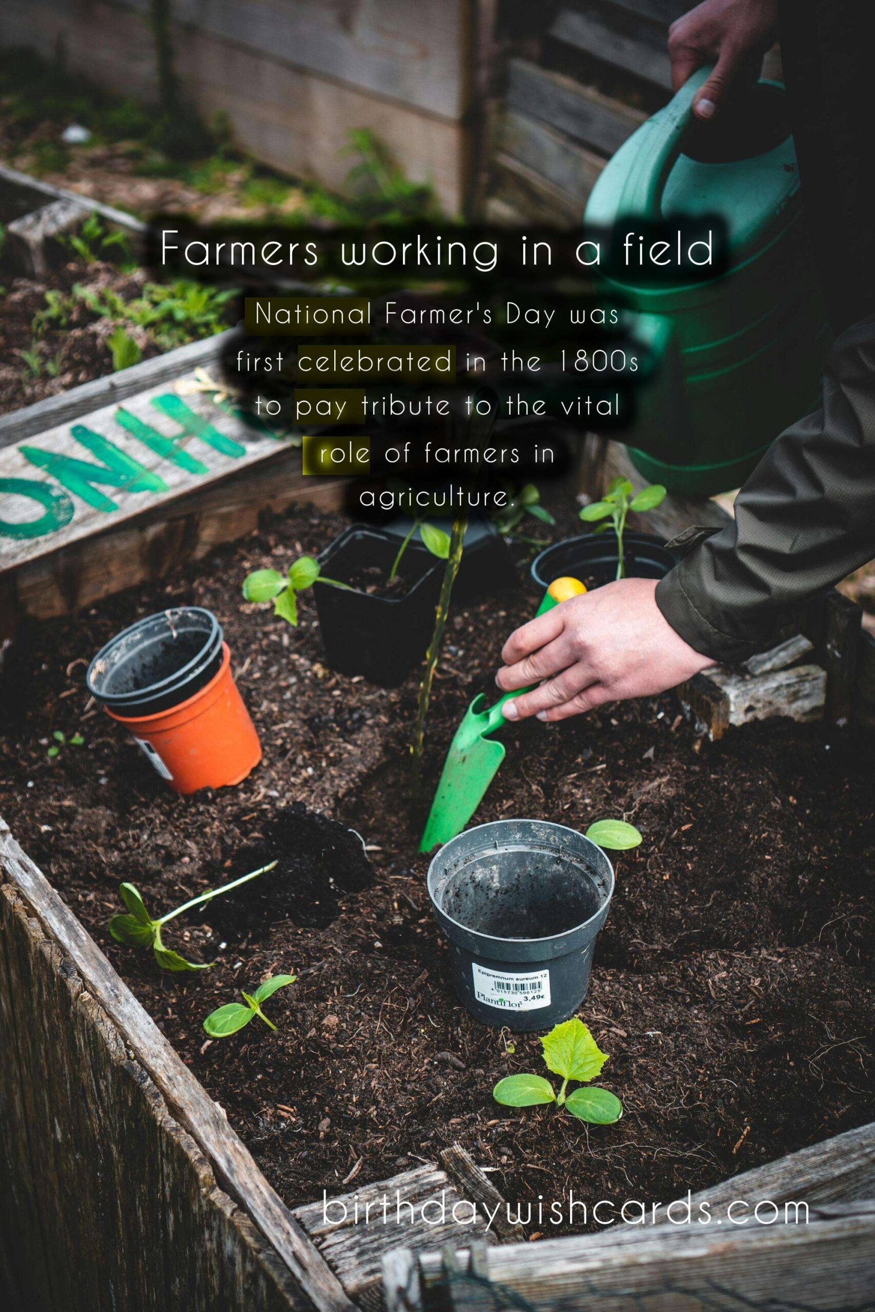 September 11: National Farmer's Day