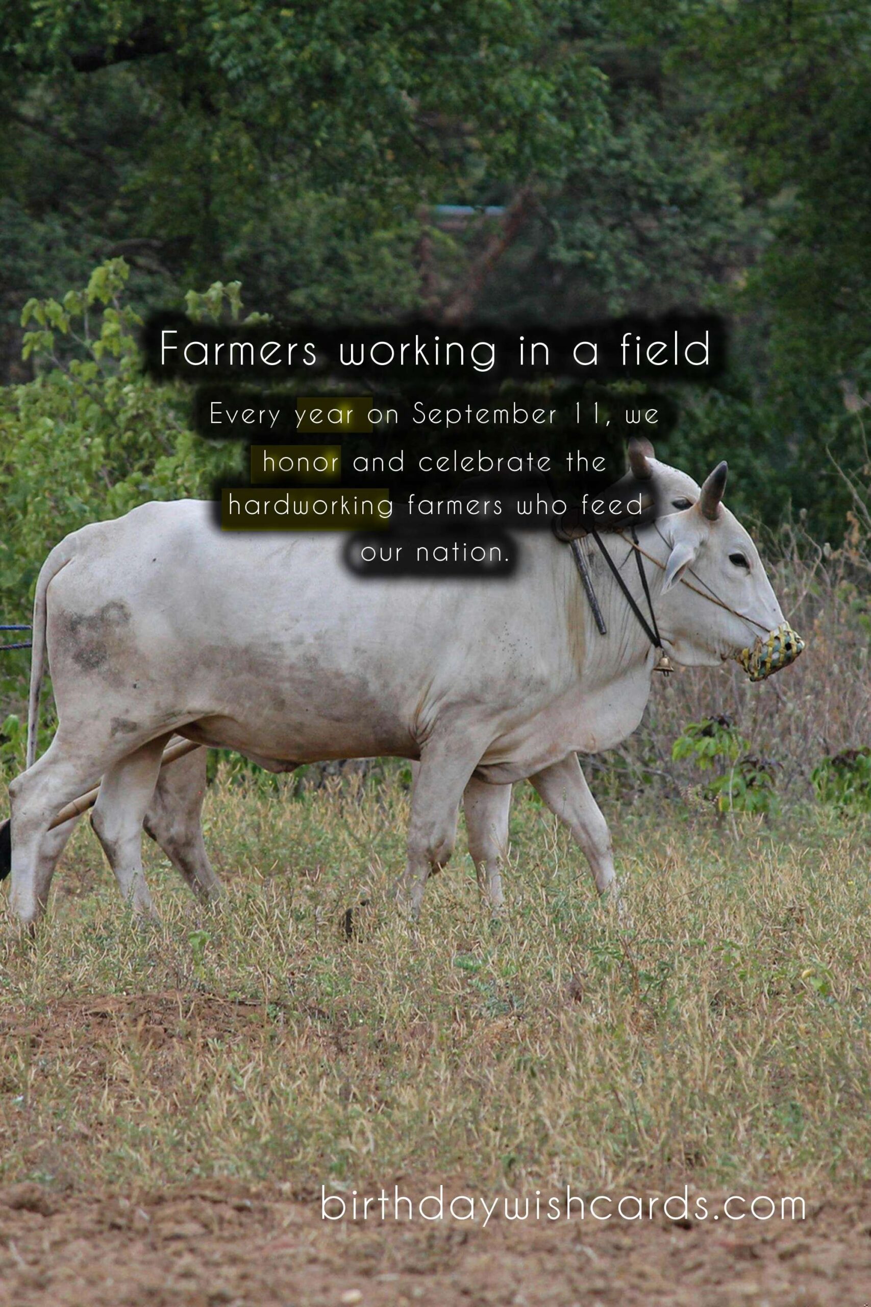 September 11: National Farmer's Day
