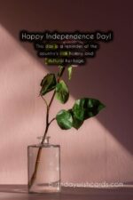 Birthday Wish Cards | Celebrate Constitution Day - June 24 with Joy and Pride