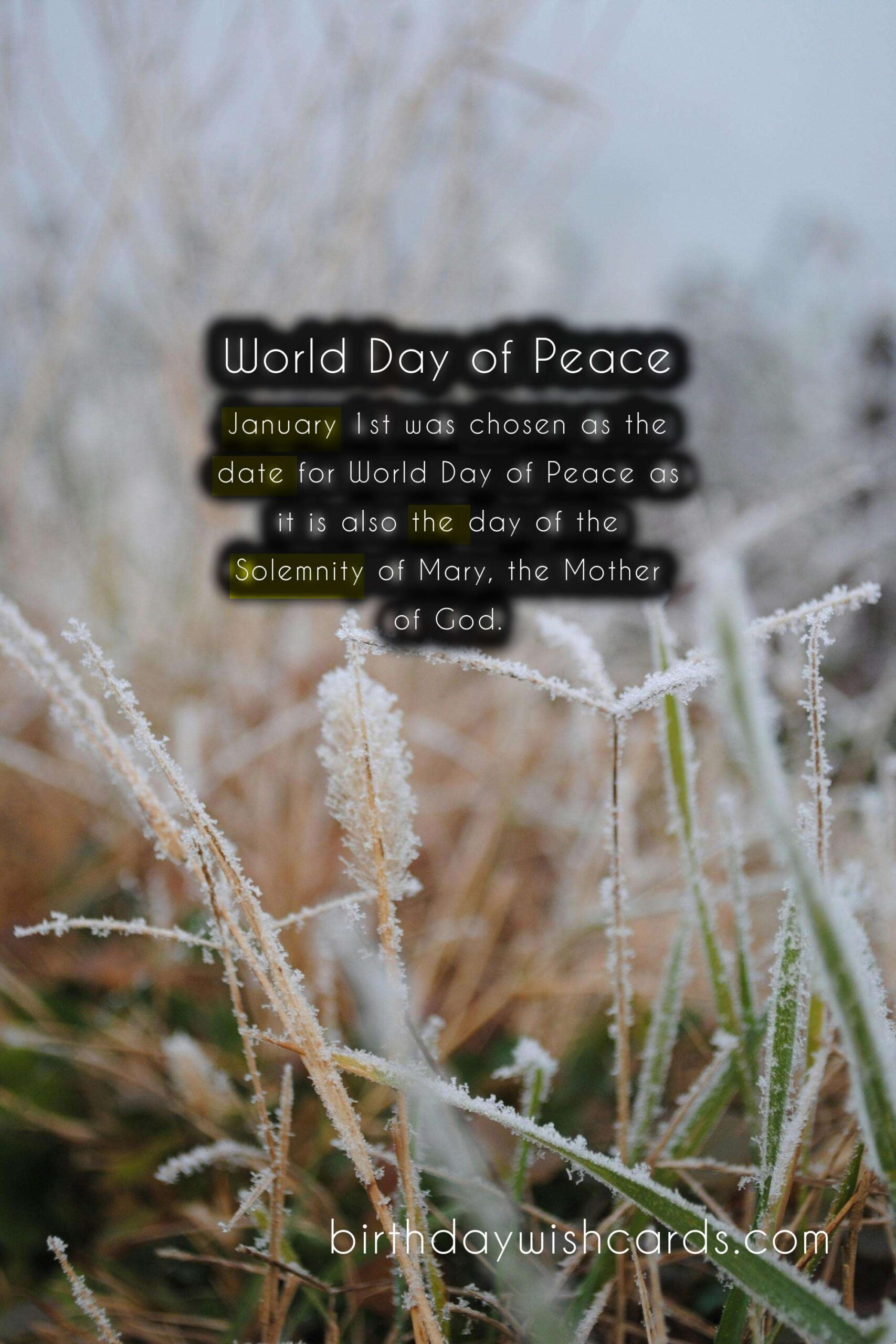 World Day of Peace - January 1st