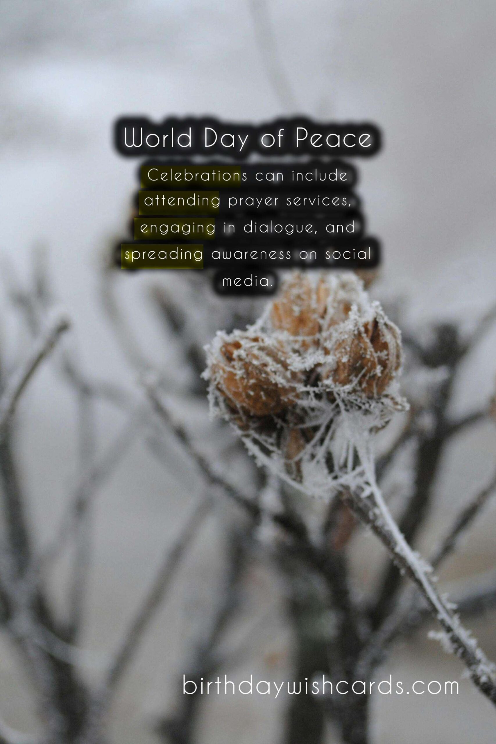 World Day of Peace - January 1st