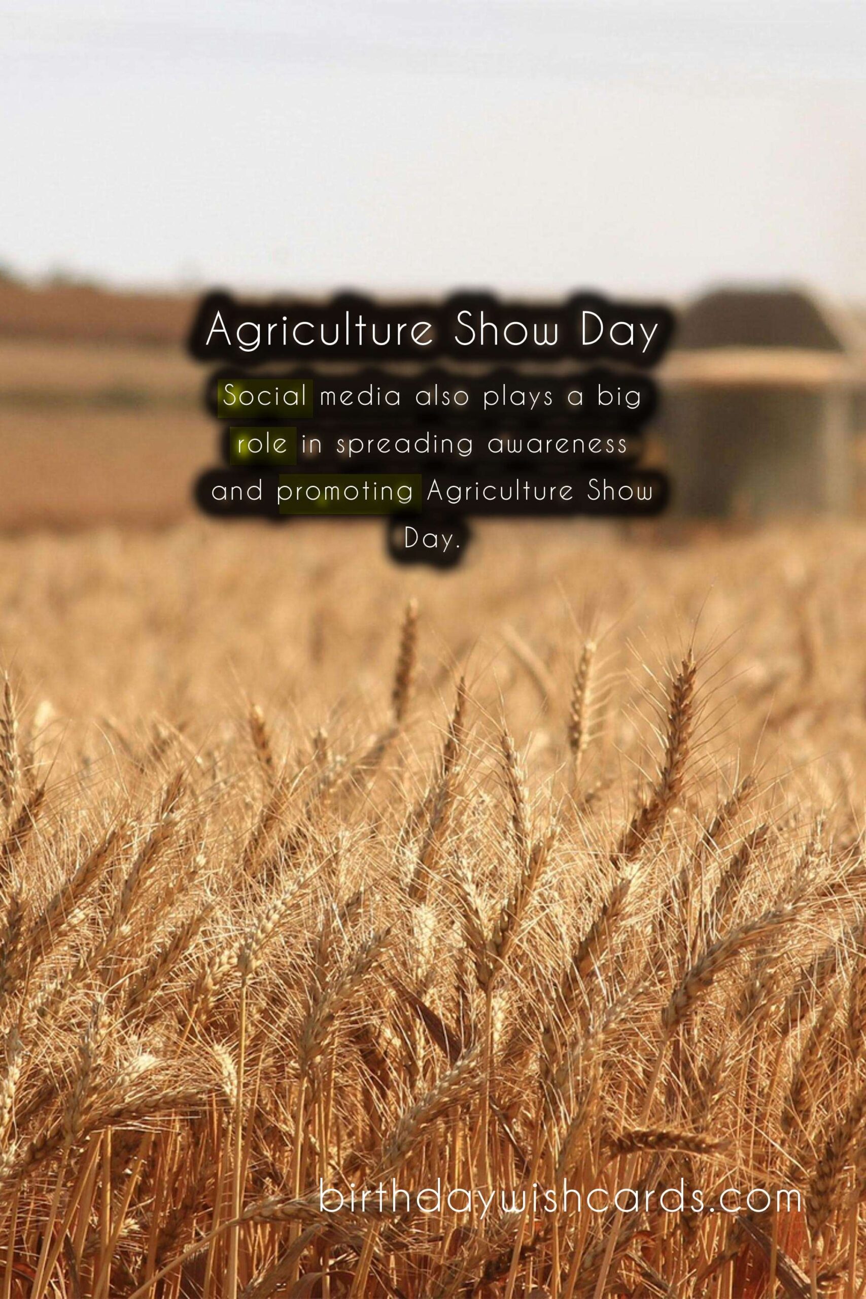 March 8 - Agriculture Show Day